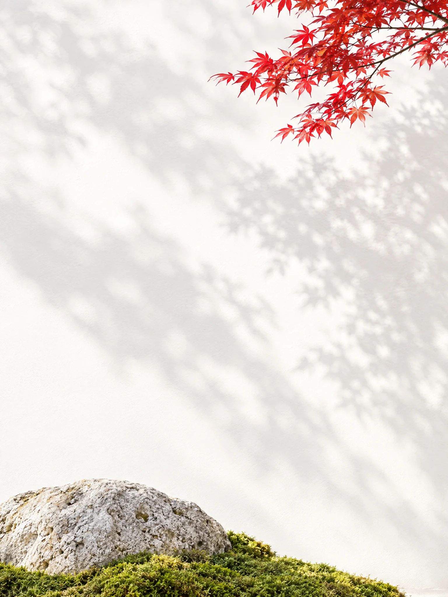 A red maple branch above a white wall, with a mossy rock at its foot