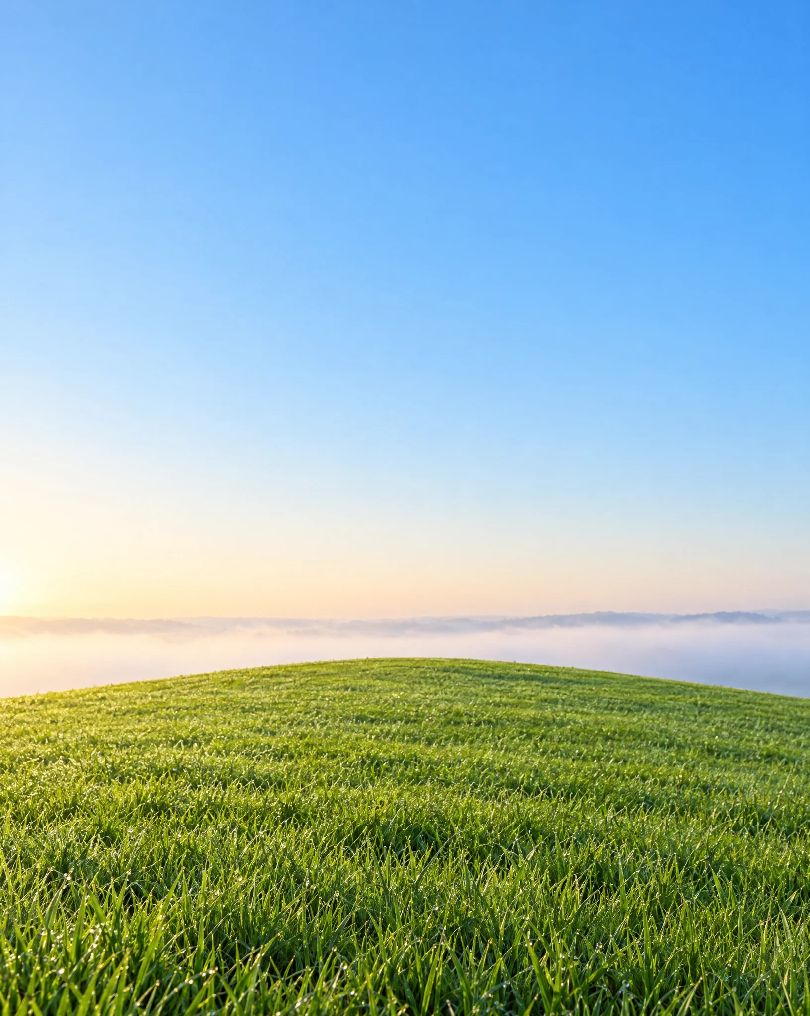 The green hill at sunrise above a valley of low mist under a pale blue sky