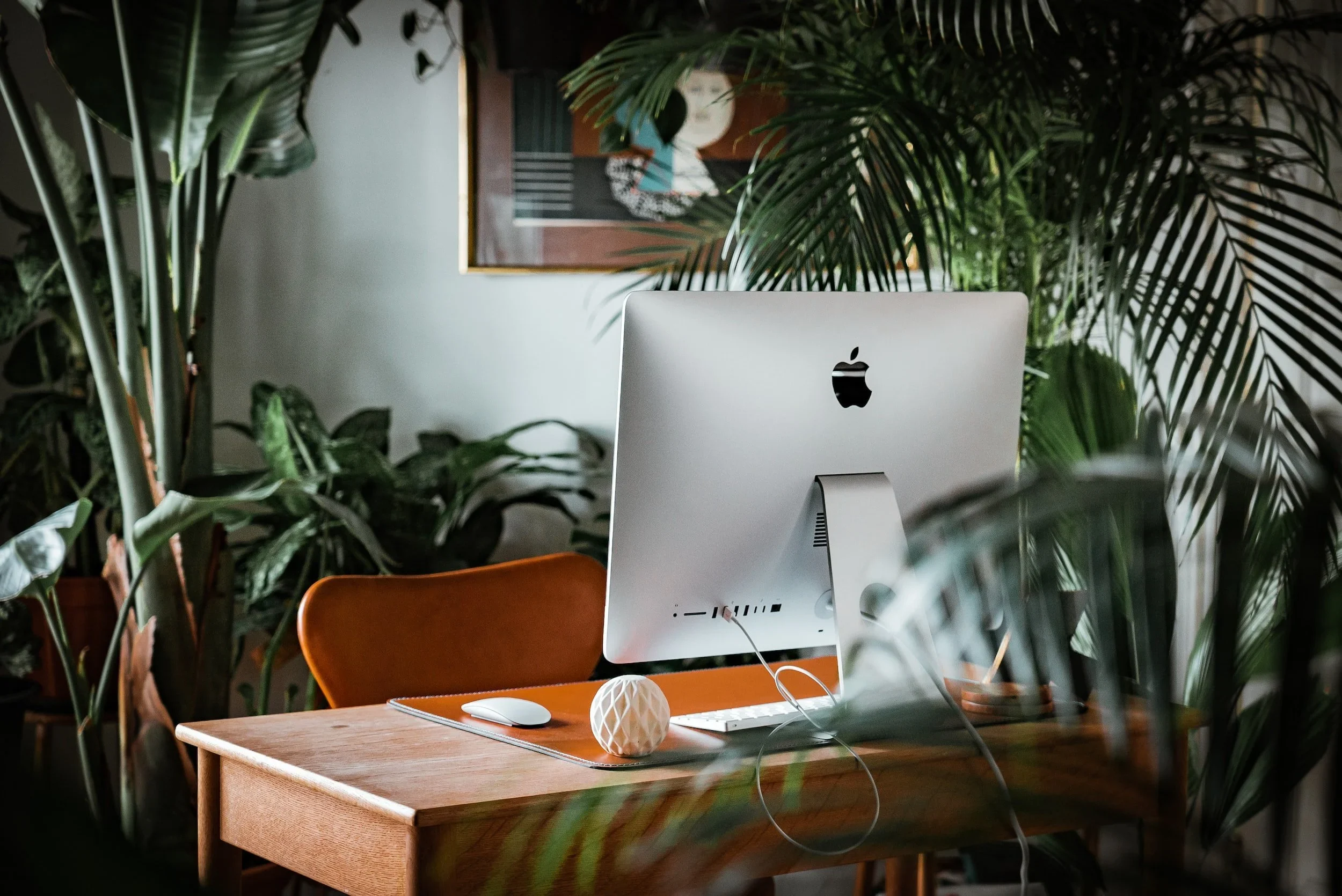 A plant-filled workspace with a desk and computer