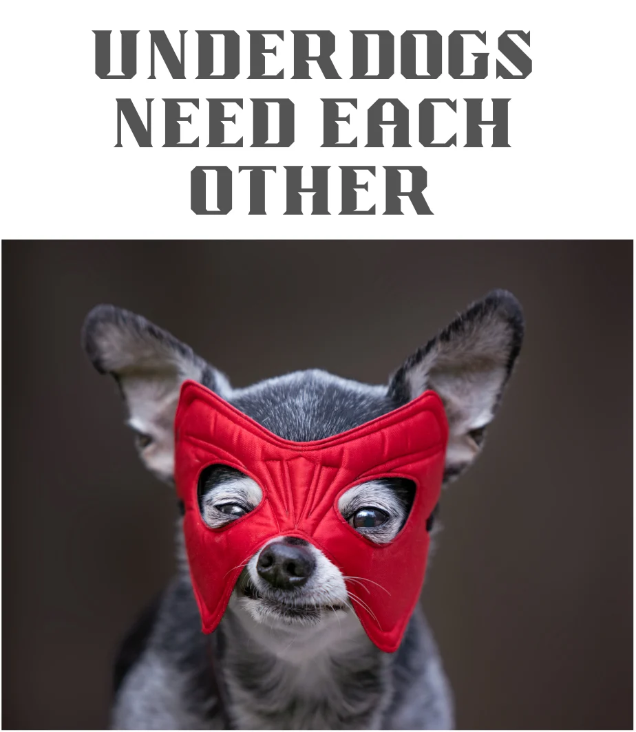 A small dog in a red superhero mask beneath the words Underdogs Need Each Other