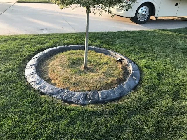Gray stamped concrete tree ring around a young tree in a lawn