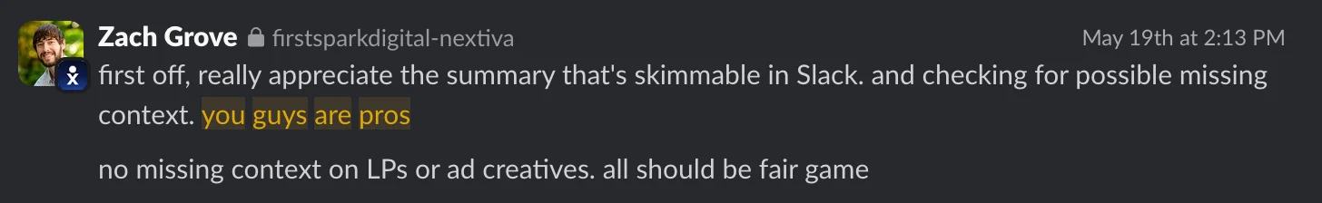 Client message thanking the team for a clear, skimmable summary and saying the team are pros