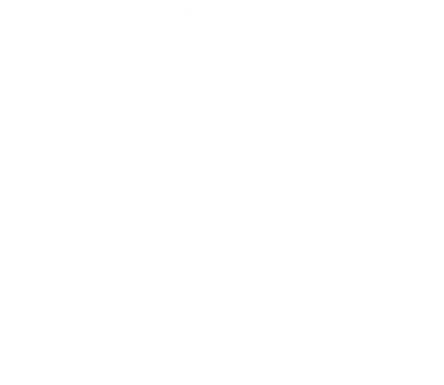 Global growth and sustainability