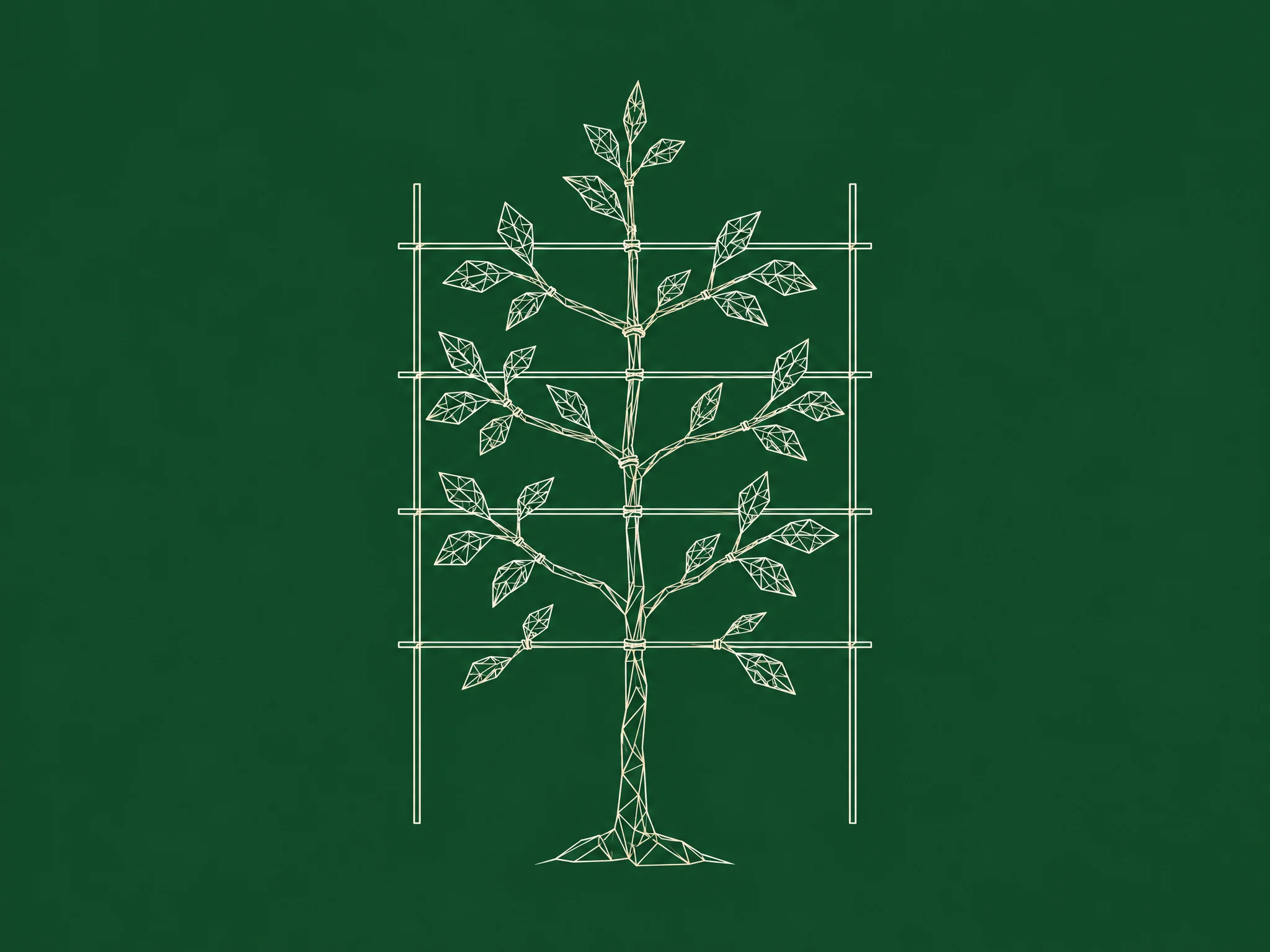 Line drawing of a young tree growing along a trellis