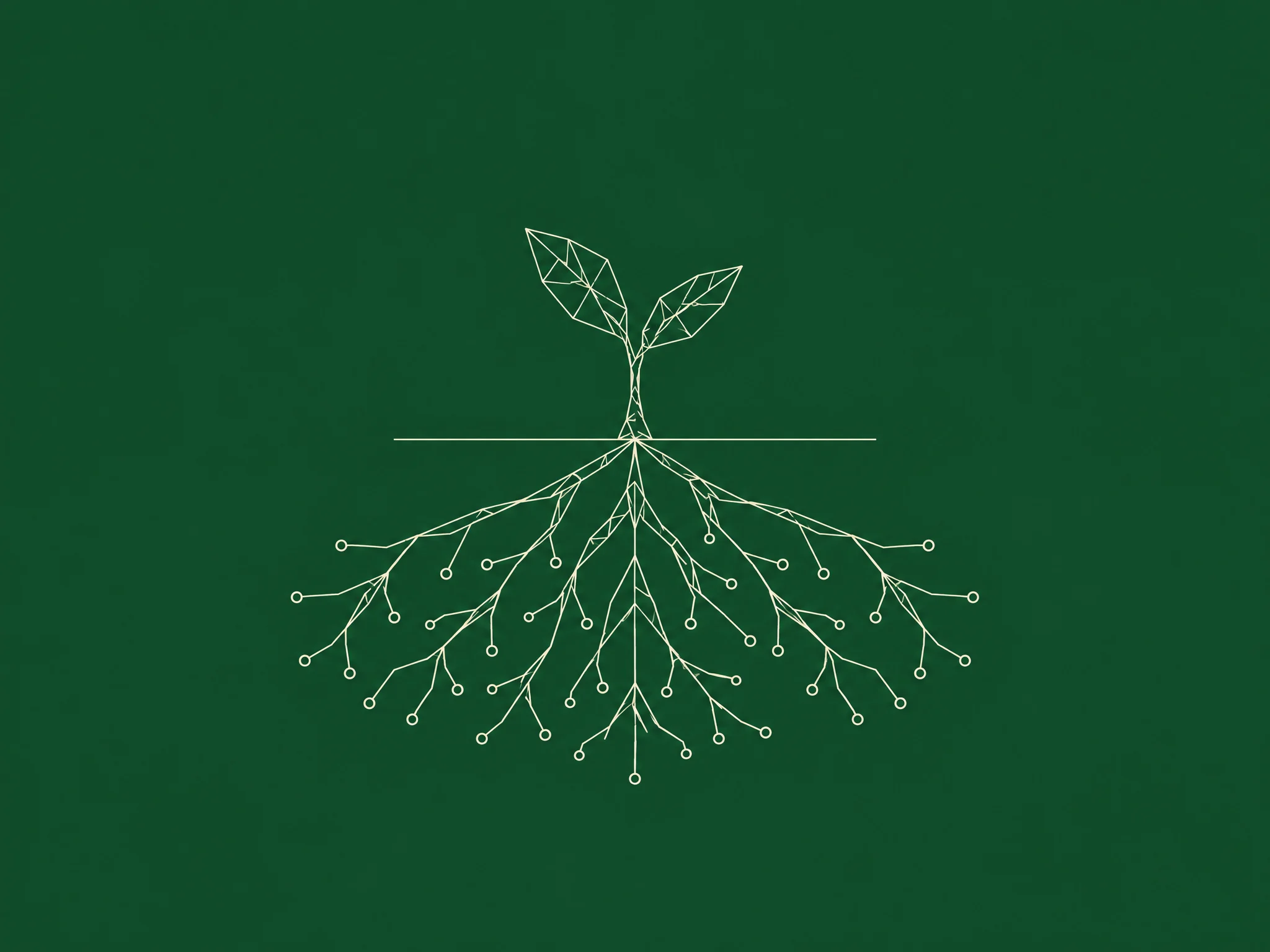 Line drawing of a sprout whose roots spread out like a map