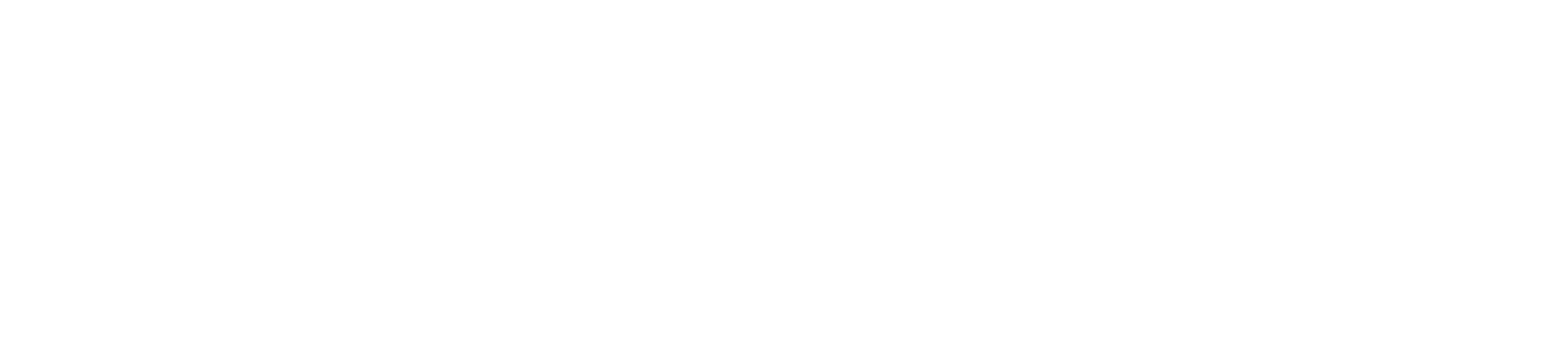 Horton International, Executive Search and Management Consultants
