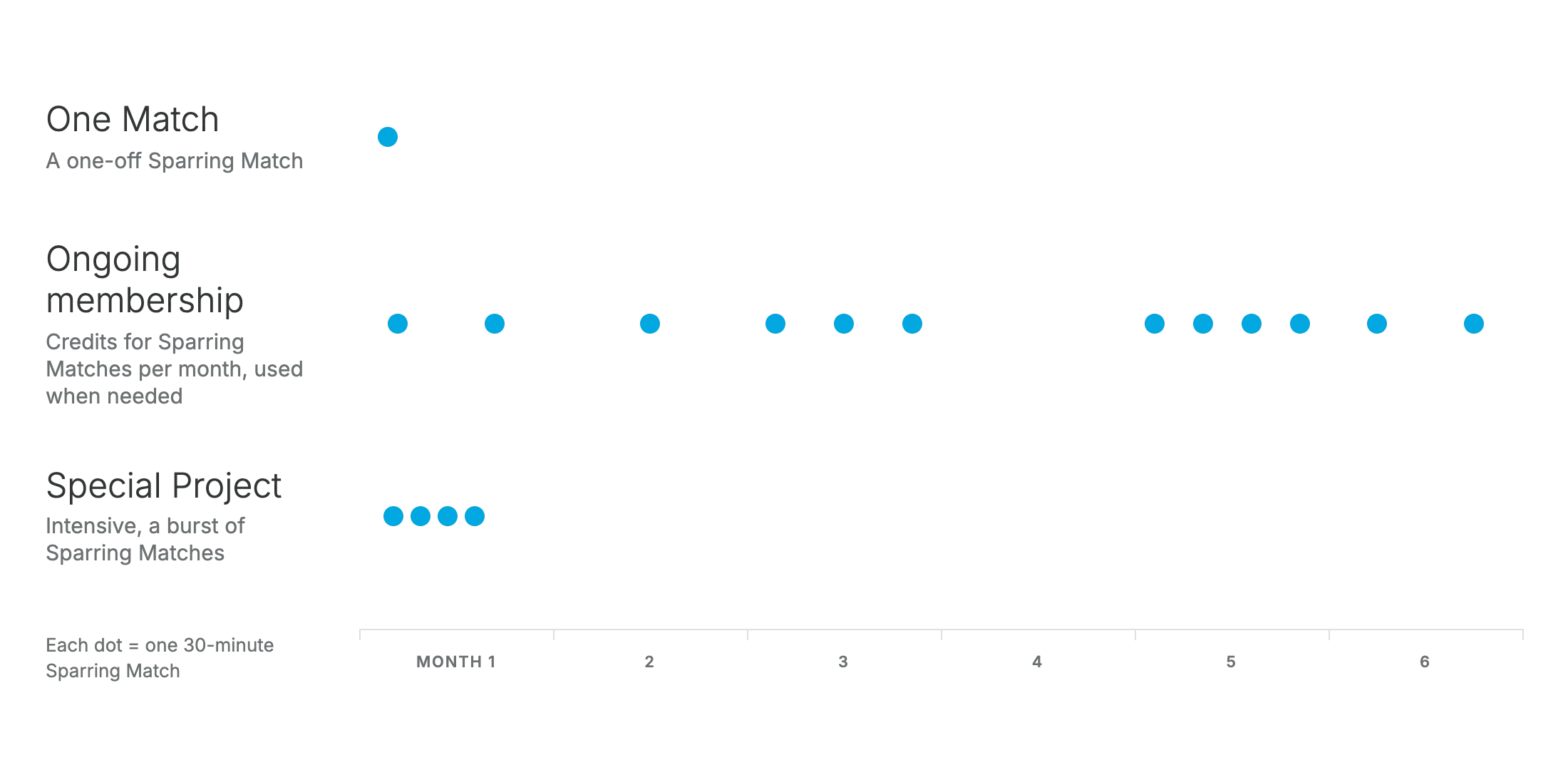 Three ways to use CEO Sparring: one Match for a specific need, an ongoing membership with a flexible monthly rhythm, or a concentrated series of Matches for a special project.
