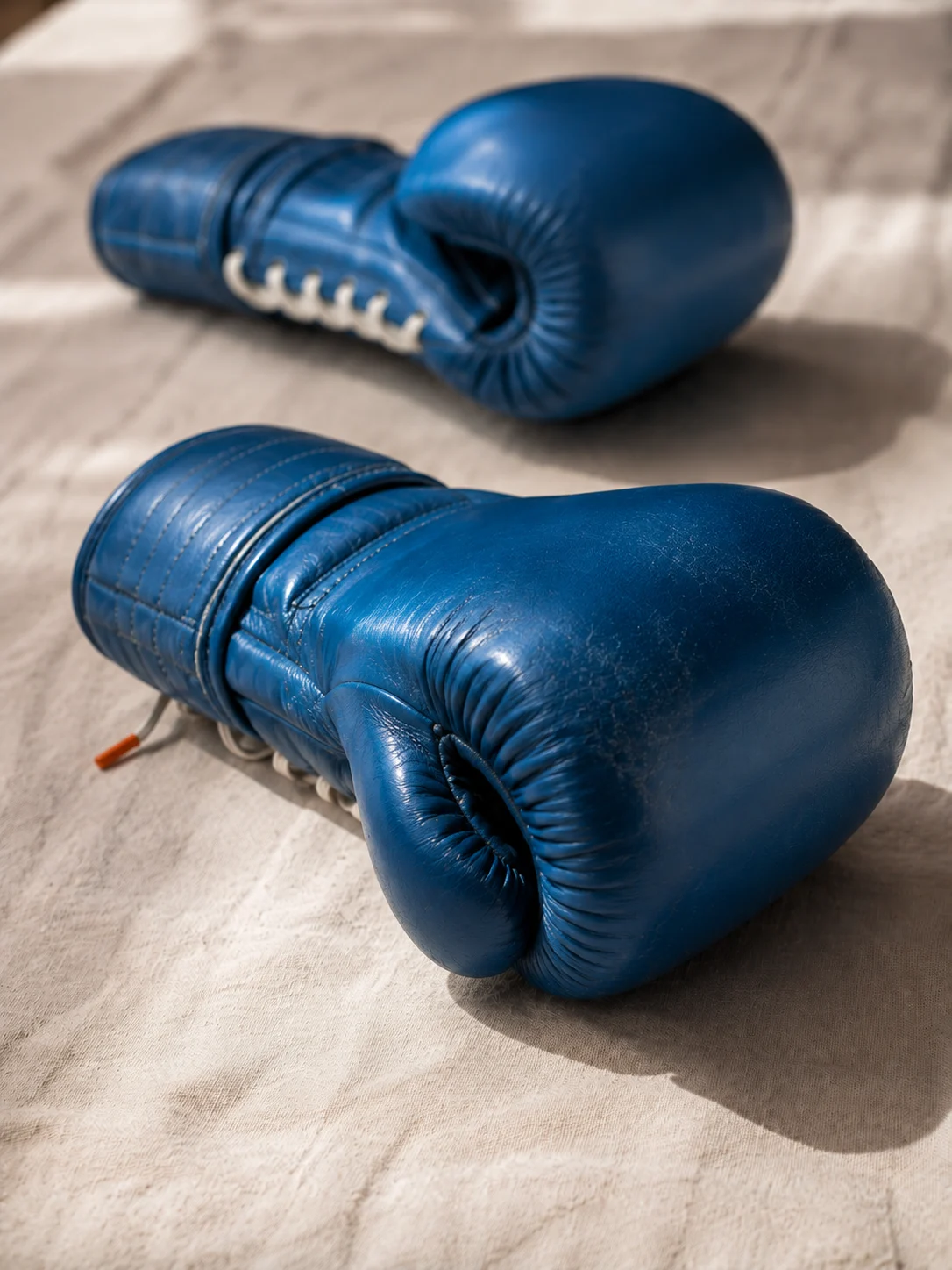 Blue boxing gloves, the CEO Sparring System visual object