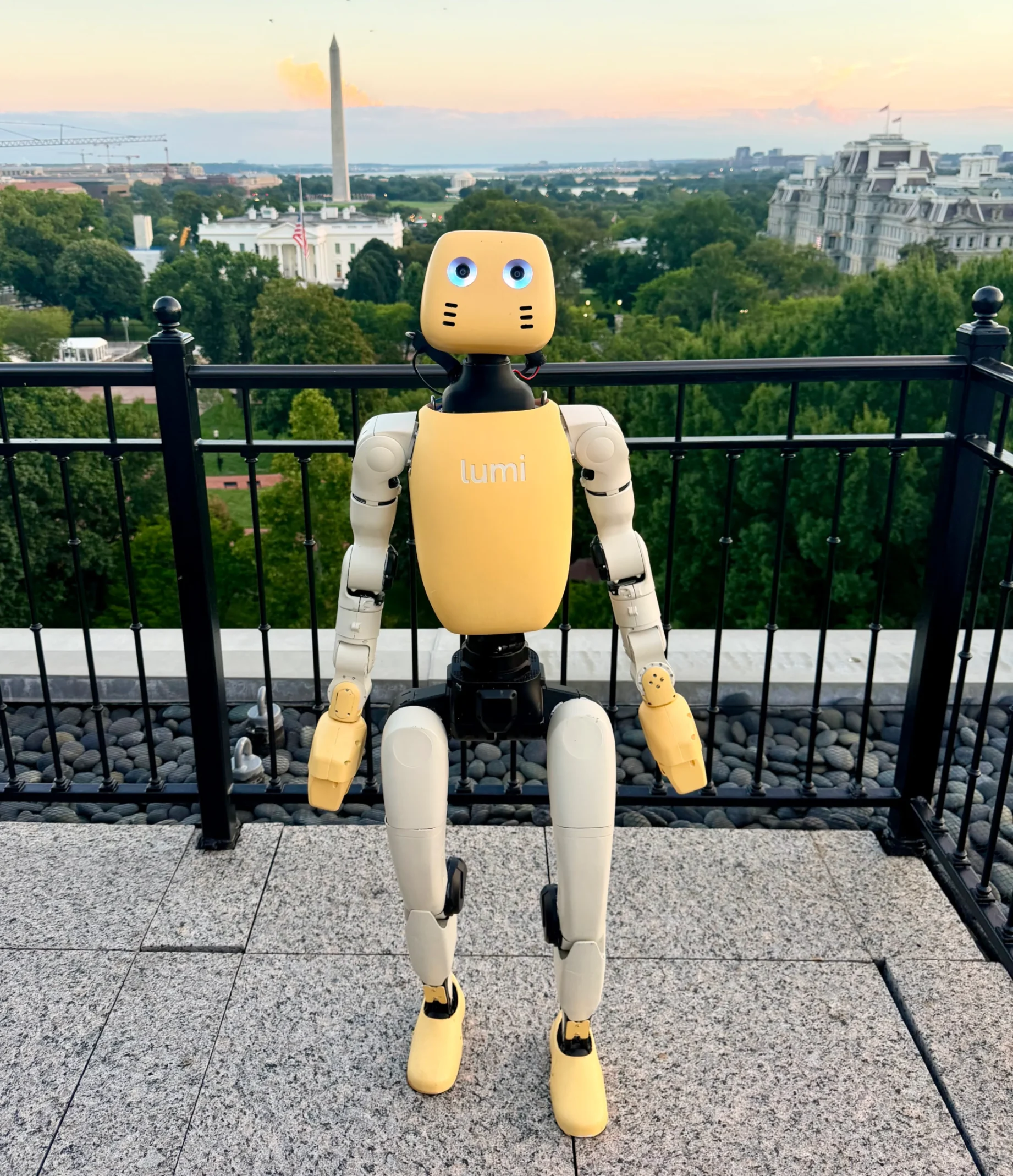 Lumi on a rooftop terrace in Washington, D.C., with the White House and the Washington Monument behind it