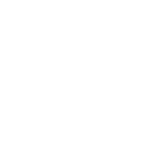 Logo of BauBau platform for construction work - white version