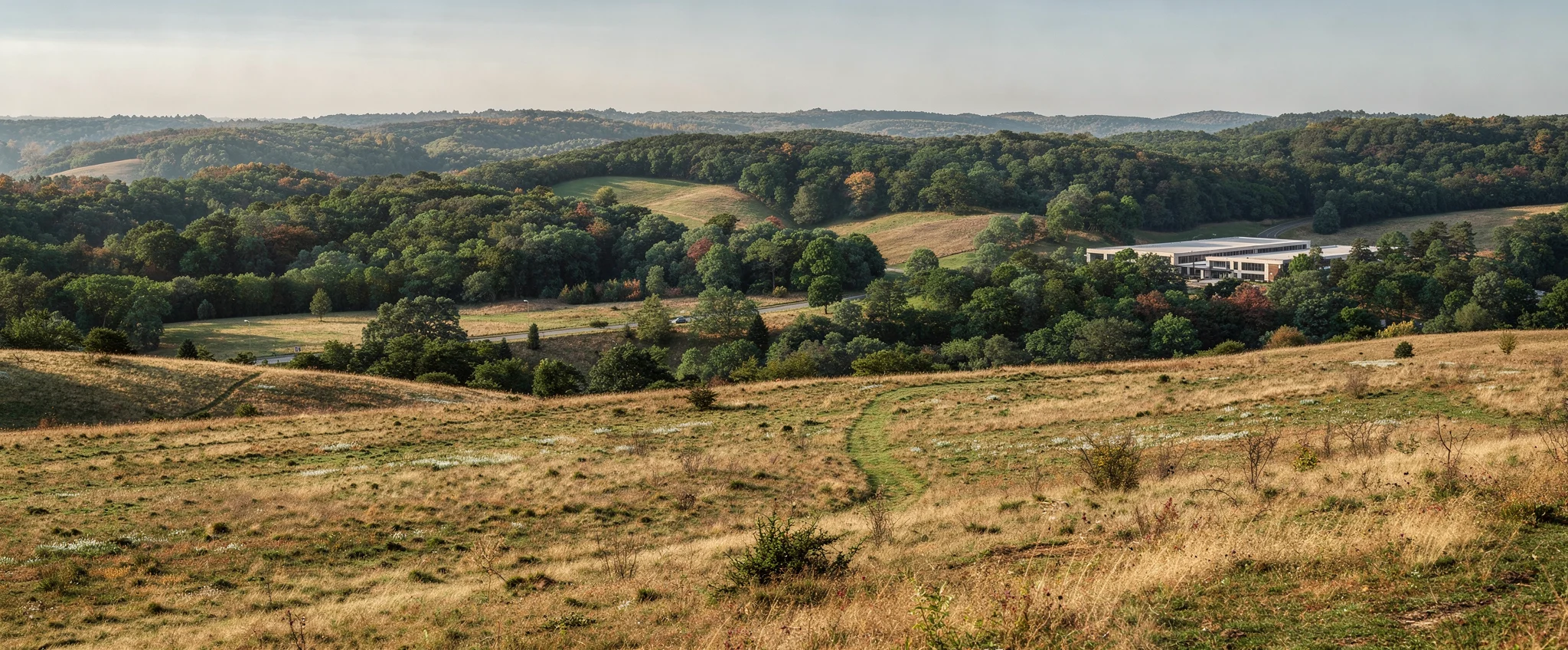 Illustrative view of a low-profile building among wooded hills and managed meadow