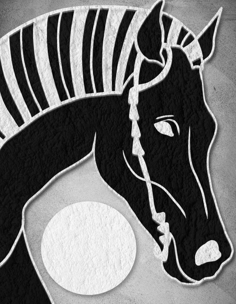 Black-and-white textured artwork of a zebra head, the ZebraTruth motif