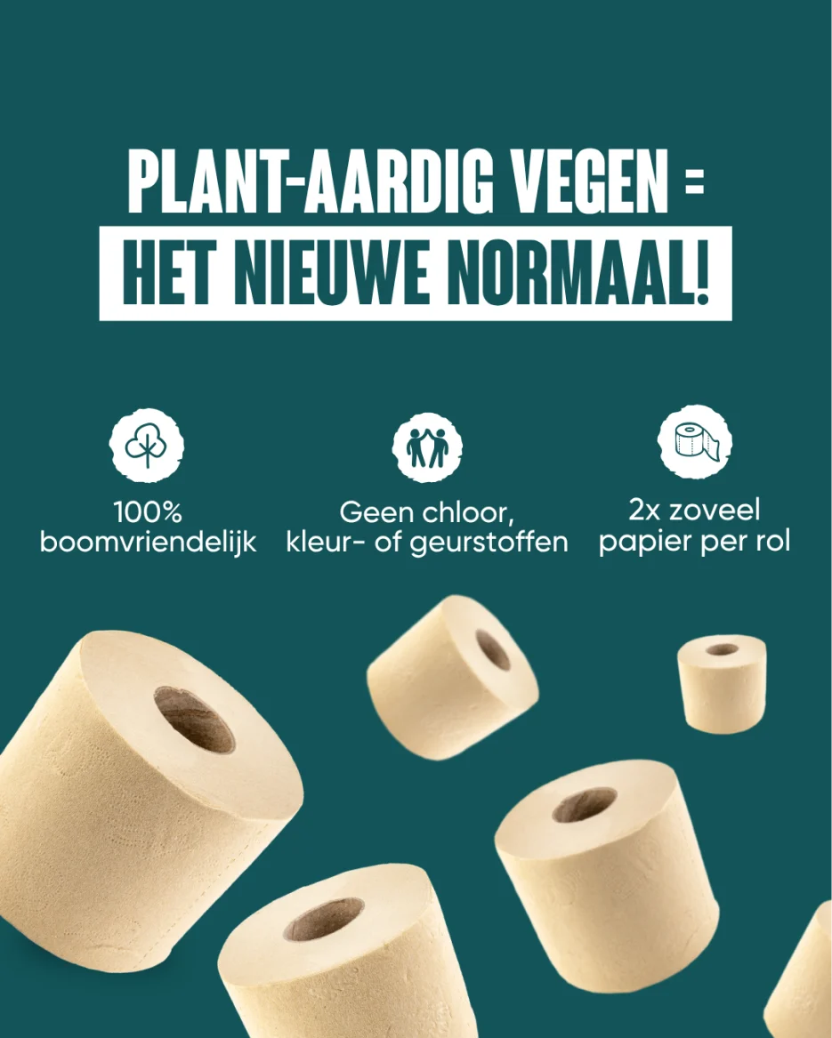 Adwave performance creative voorbeeld 3