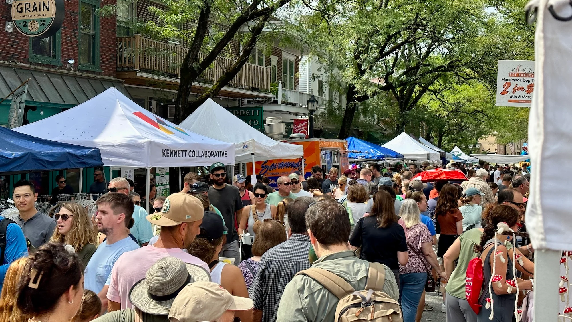 Crowds and vendors filling State Street during the Mushroom Festival