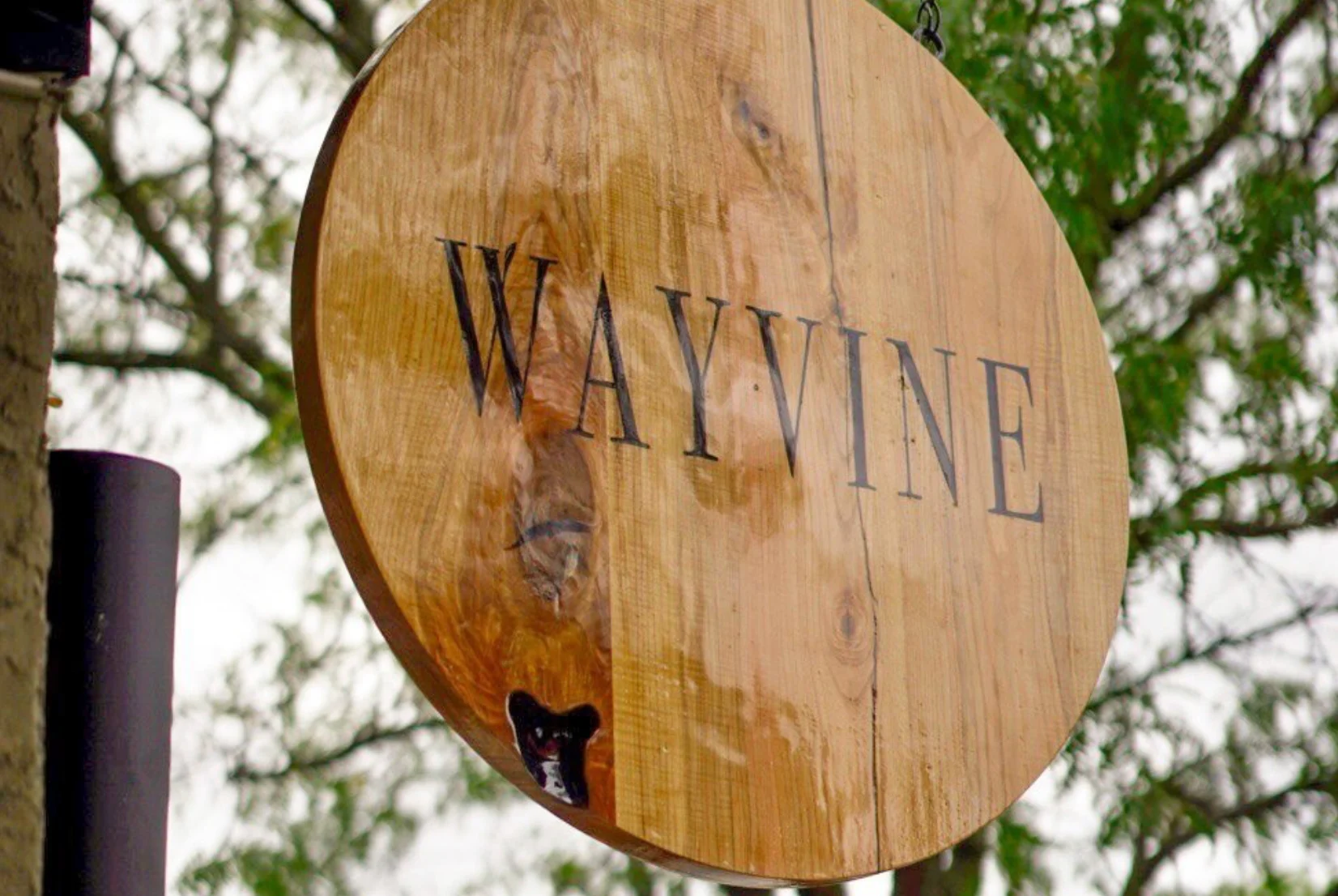 Wayvine wine bar in Kennett Square