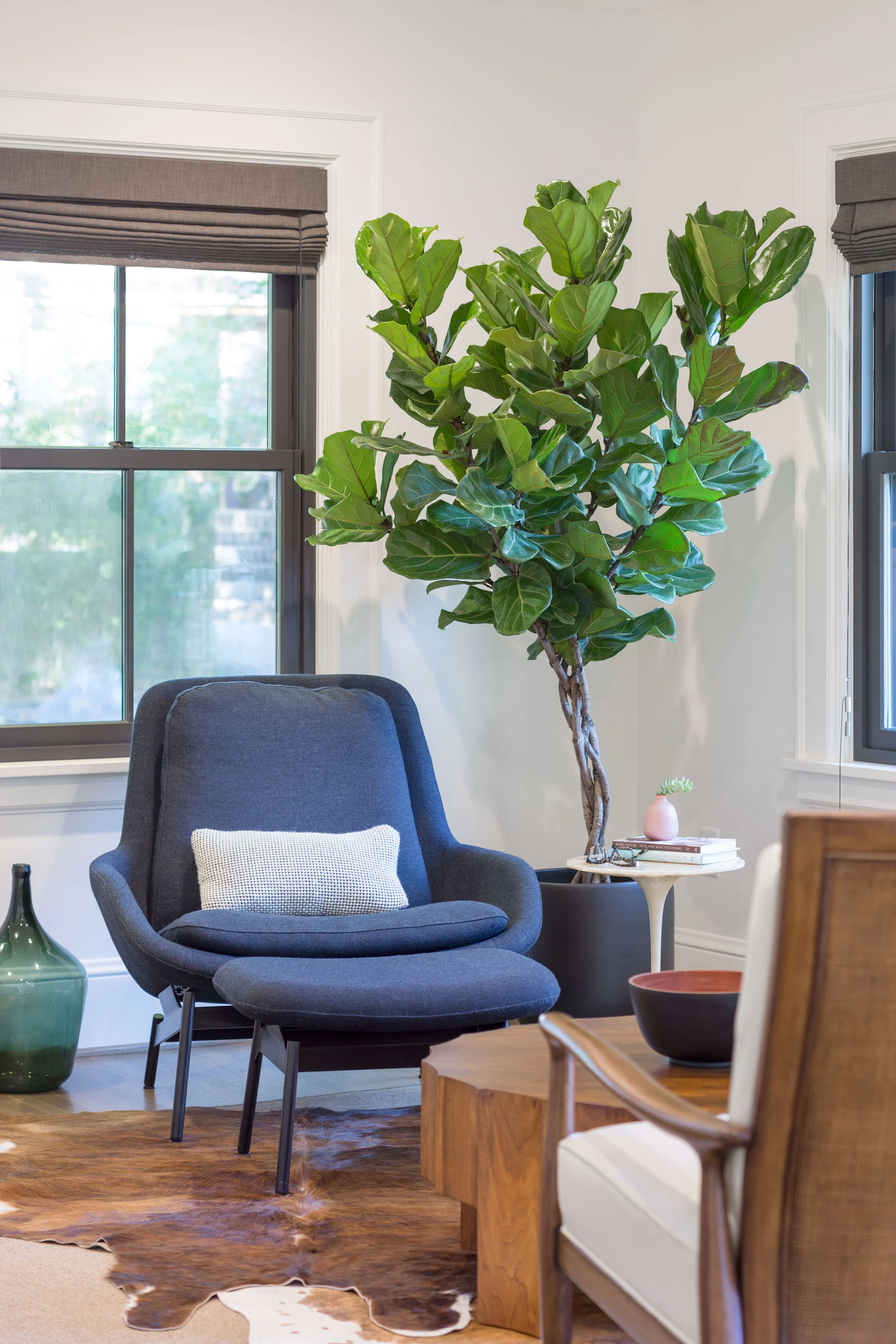 Alameda Renovation and High Performance Retrofit, photo 8