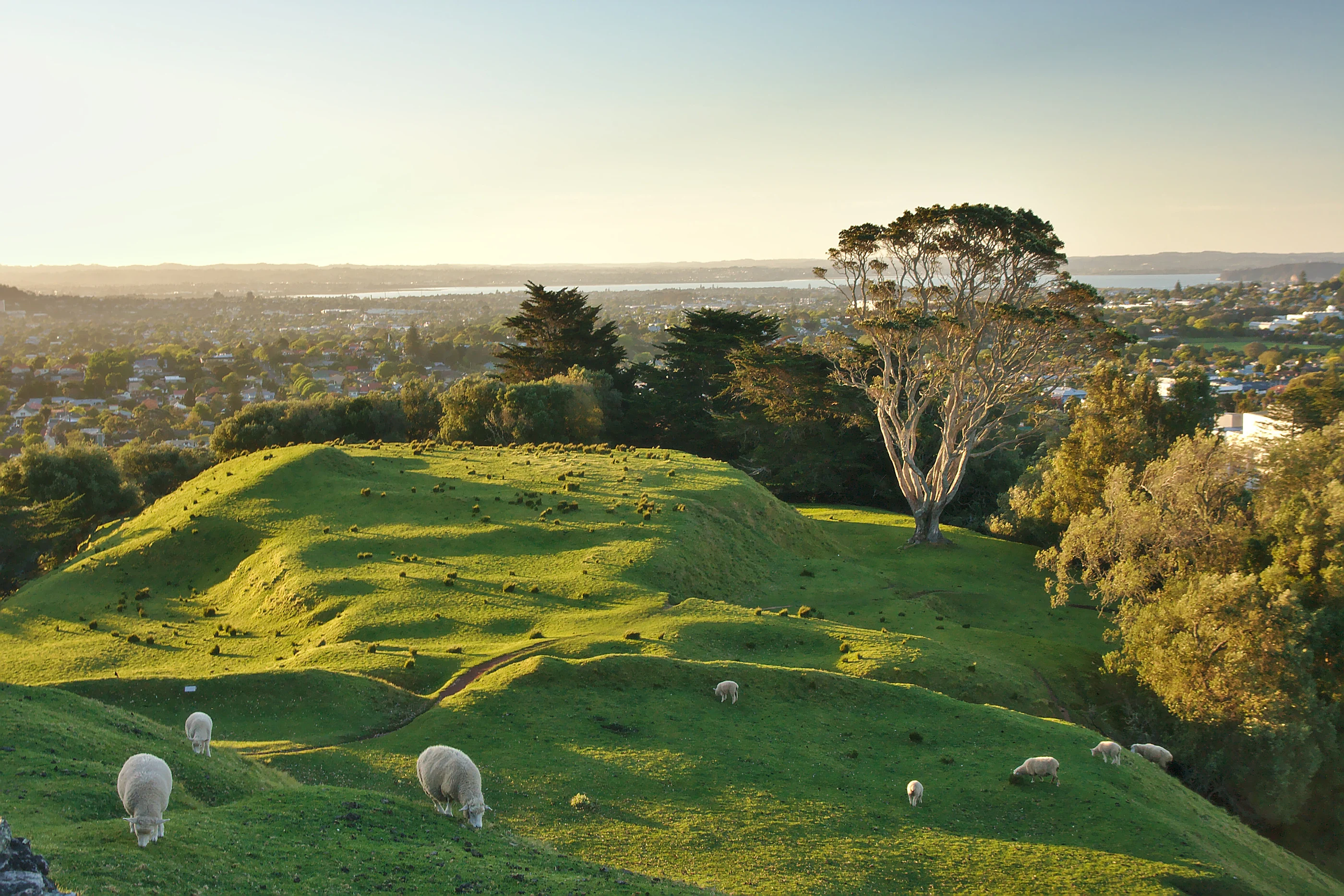 One Tree Hill landscape overlooking Auckland