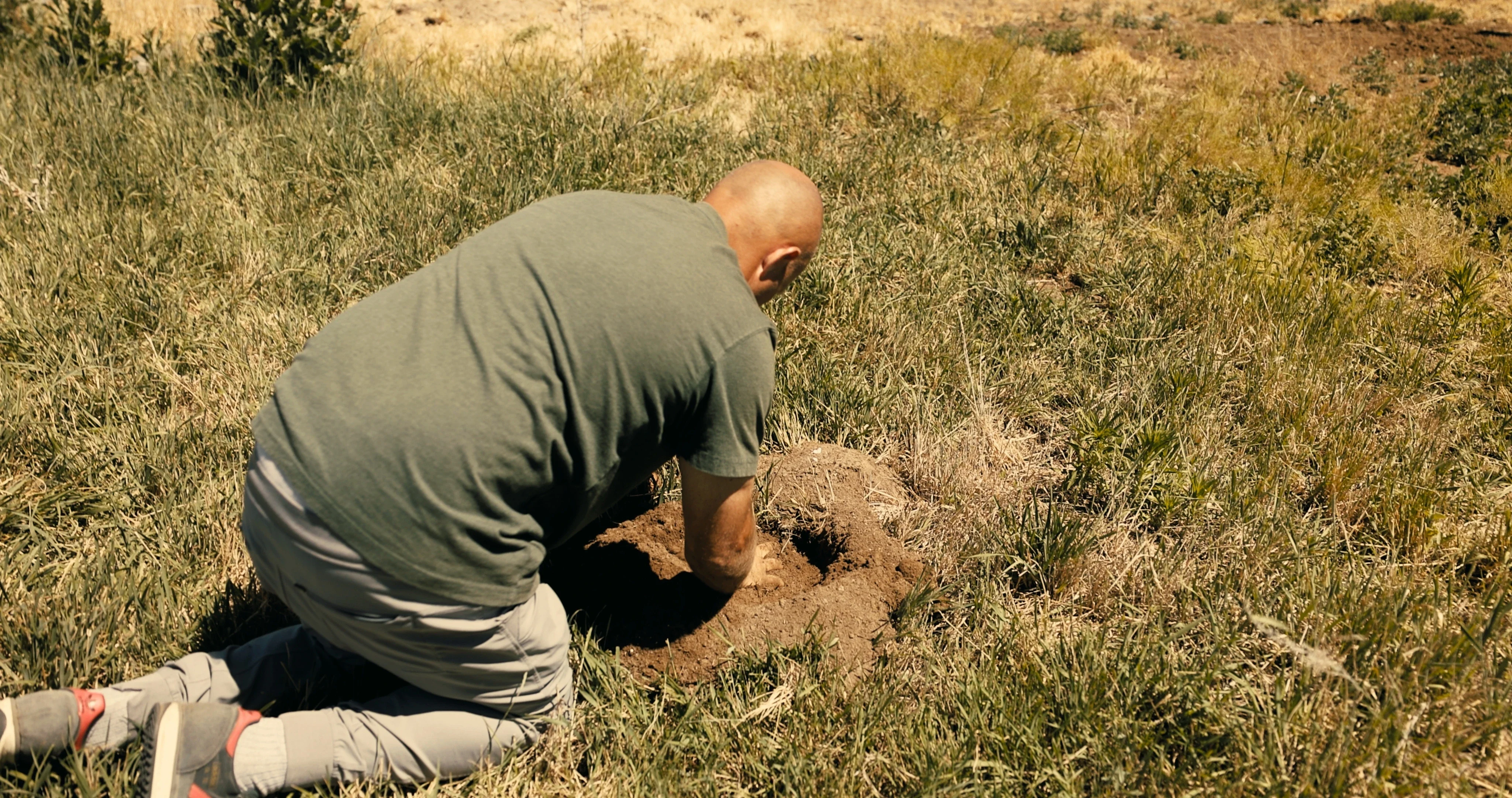 Oaks Pest Control technician inspecting an animal burrow in a field