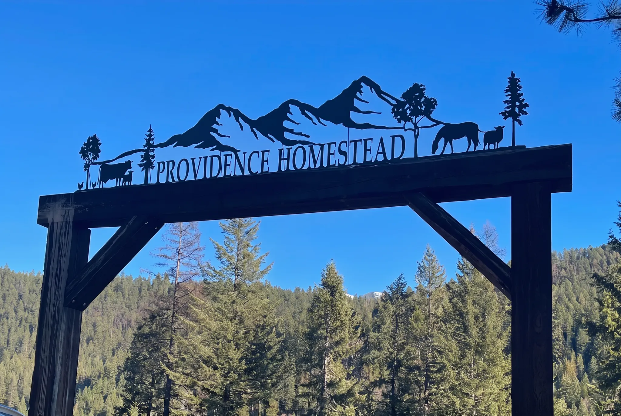 The Providence Homestead entrance sign framed by a blue sky and Montana forest