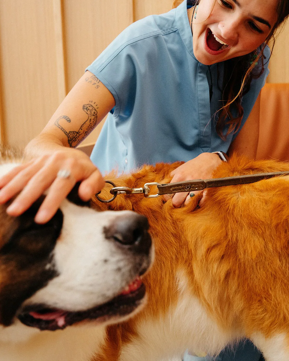 A pet groomer laughing with a large dog in her own grooming suite