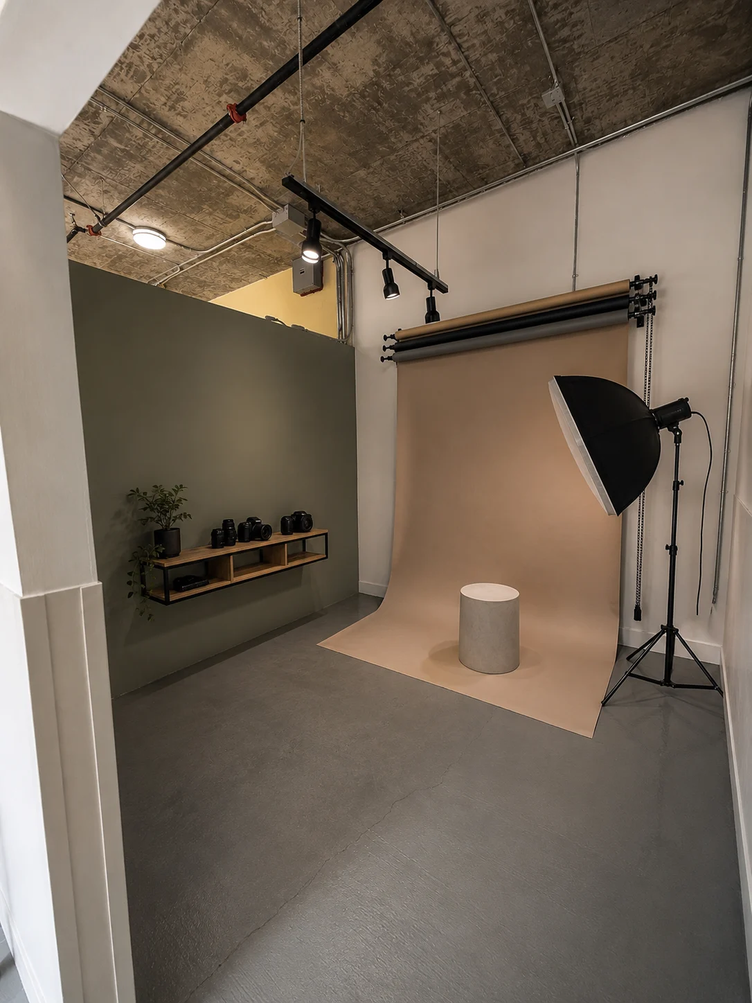 Illustrative Snout suite concept arranged as a pet photography studio with backdrop rolls, camera equipment, and a softbox light