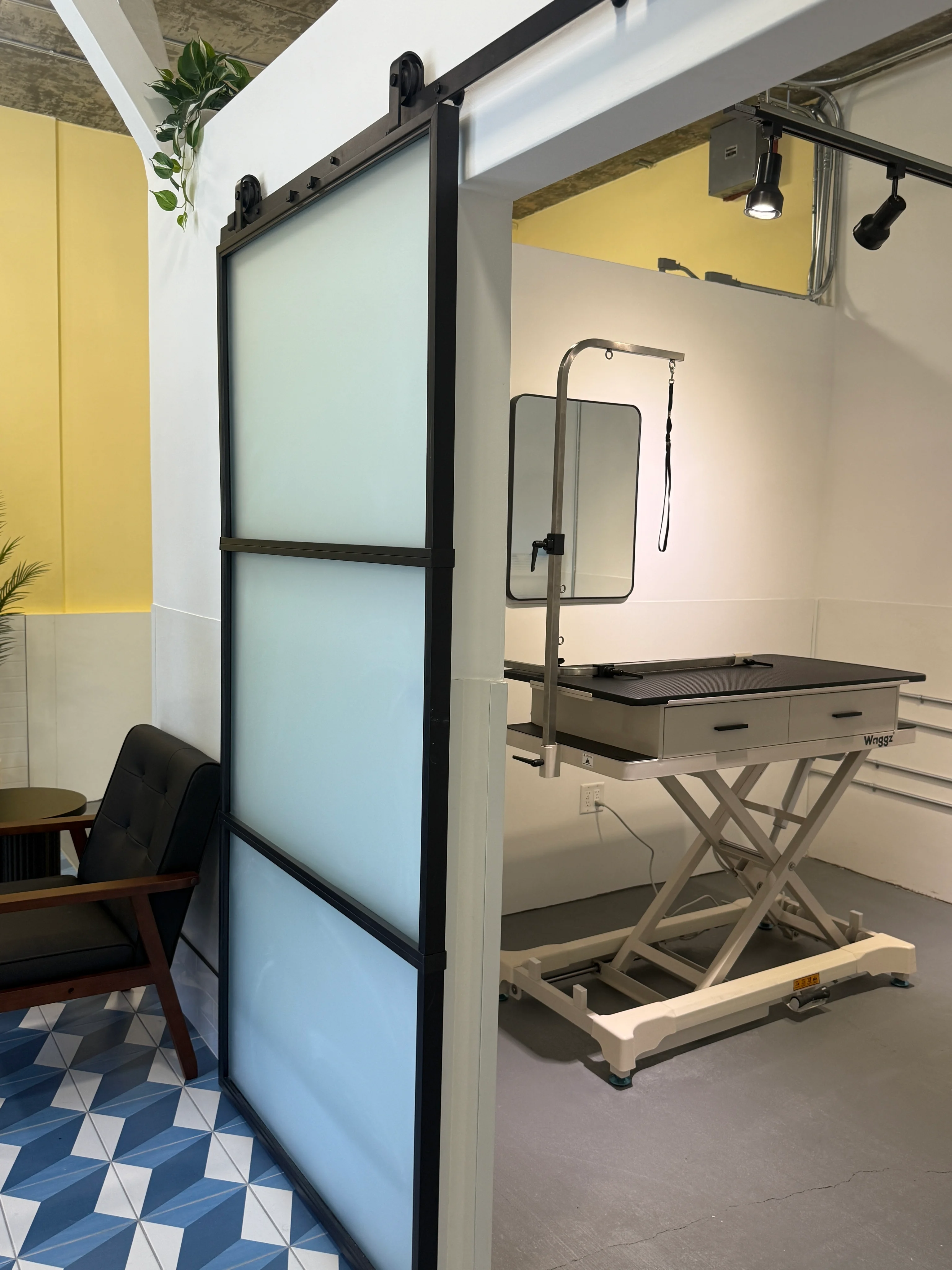 A private Snout Studios grooming suite with a frosted sliding door and professional Waggz grooming table