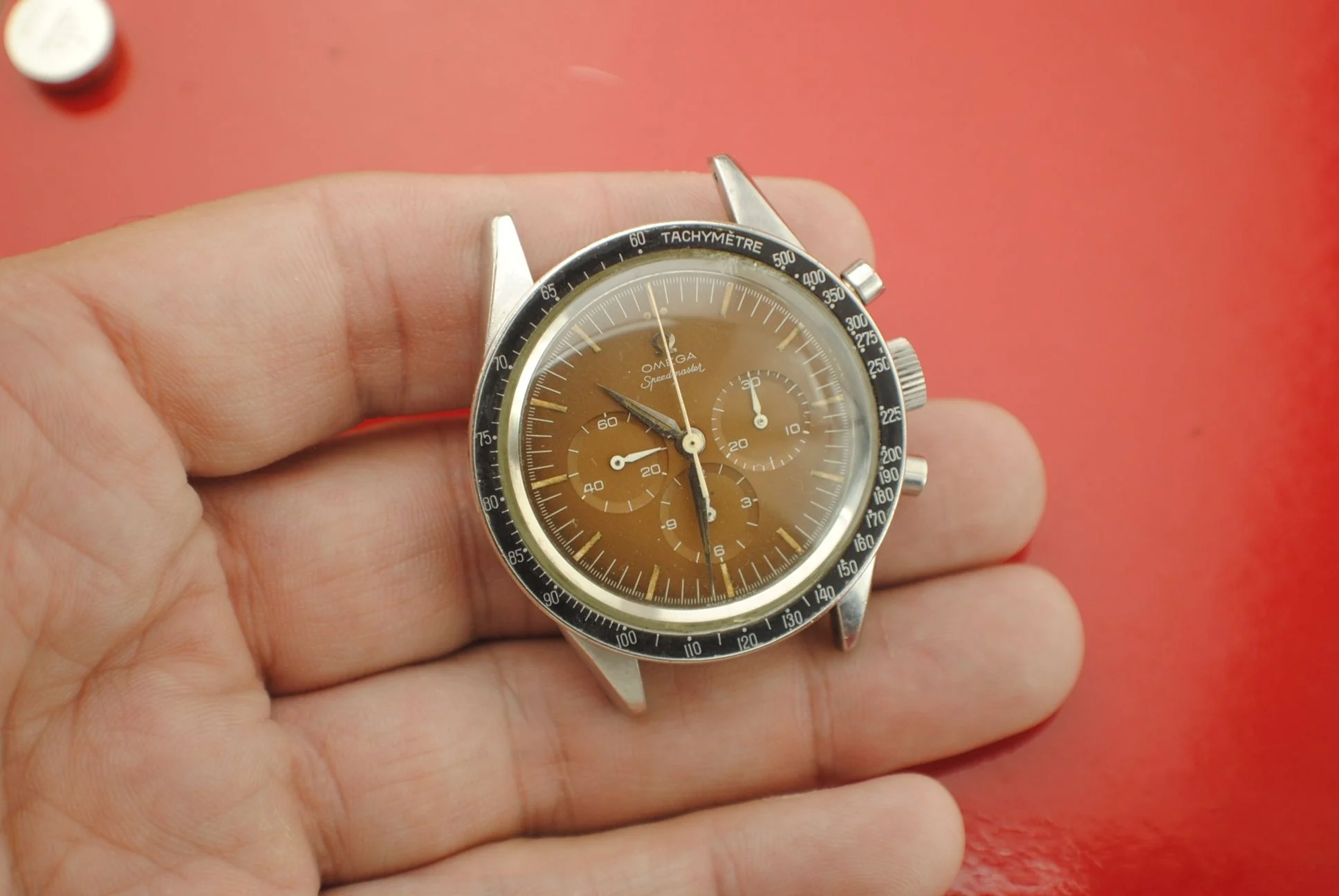 In-hand crystal-on view of the sold Omega 2915 showing its tropical-brown dial, three registers, replacement tachymetre bezel and hands, and steel-tone case against a red background