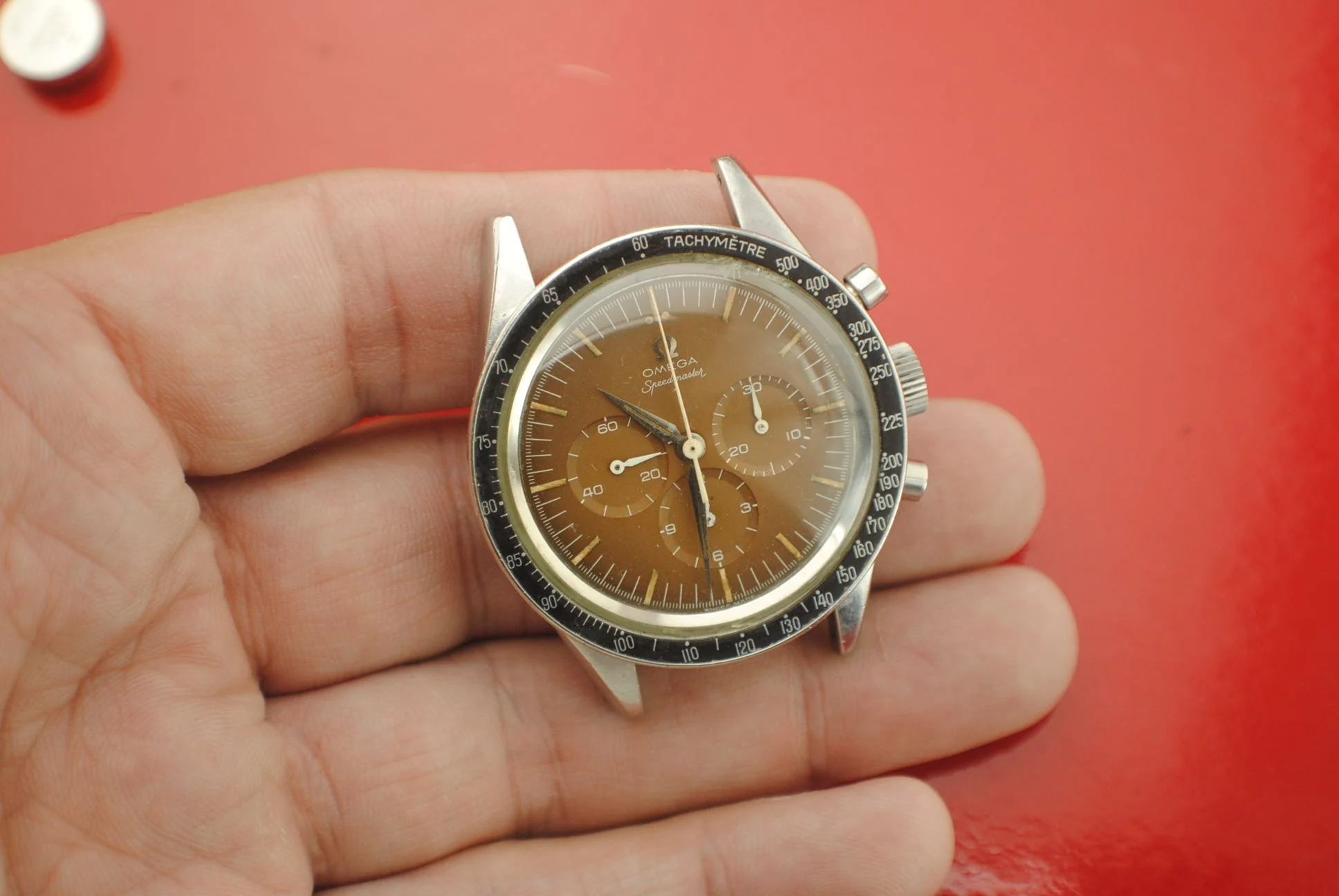 Second in-hand crystal-on view of the sold Omega 2915 tropical-brown chronograph showing the dial, bezel, crown, pushers, and steel-tone case