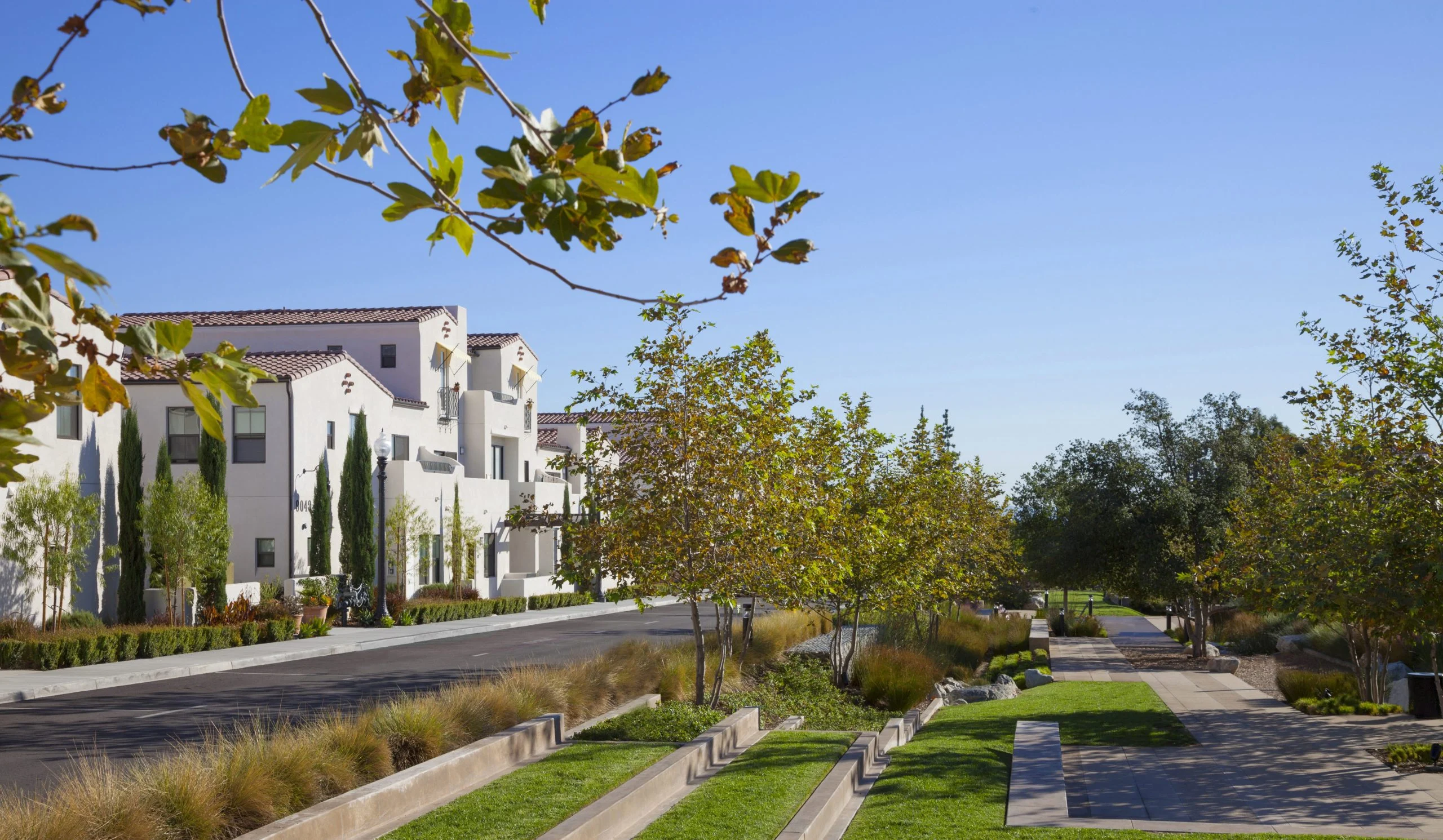 Buildings and landscaped pedestrian path at Paseos at Montclair North