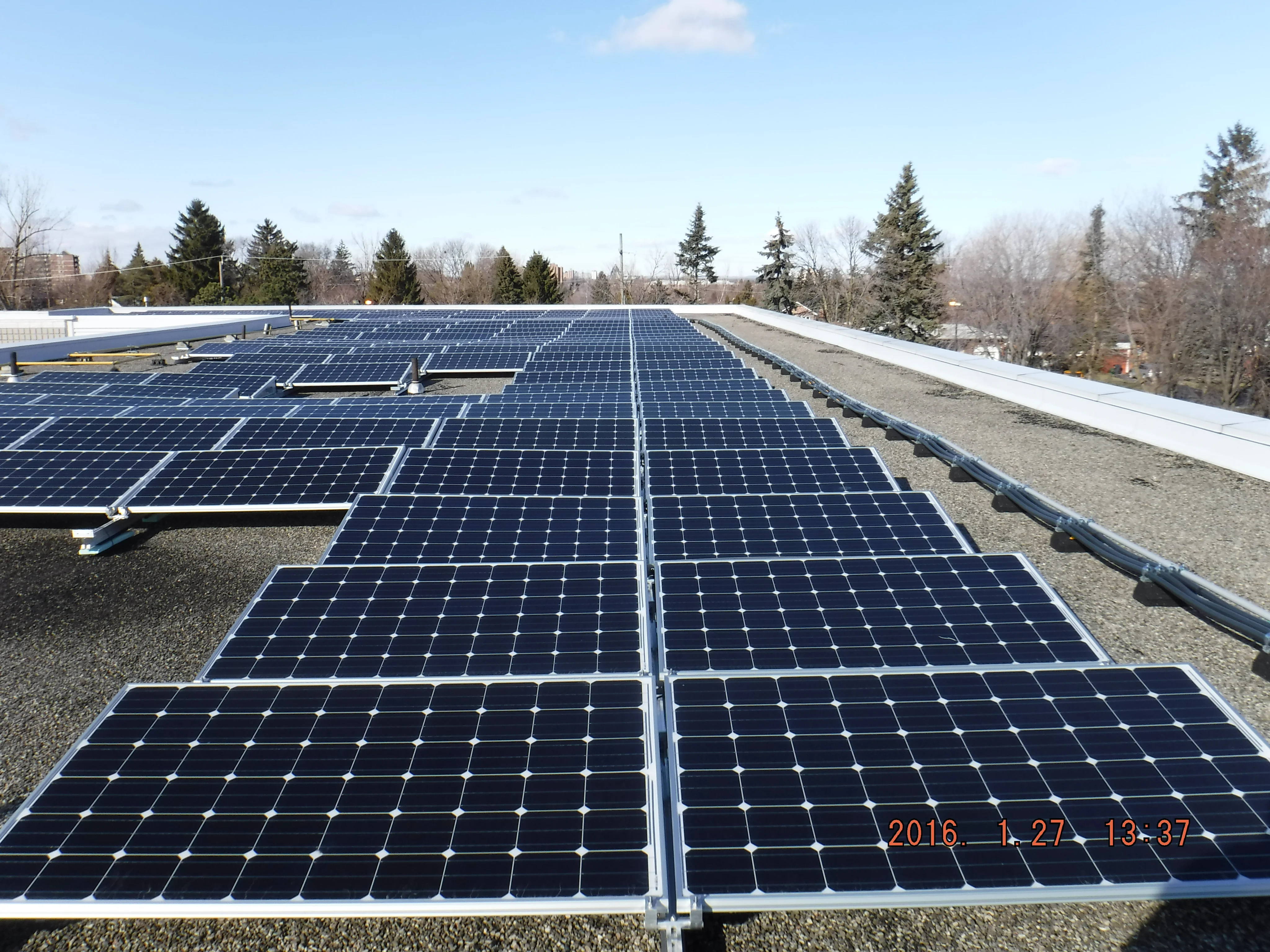 Rows of solar panels in Ontario under a pale sky