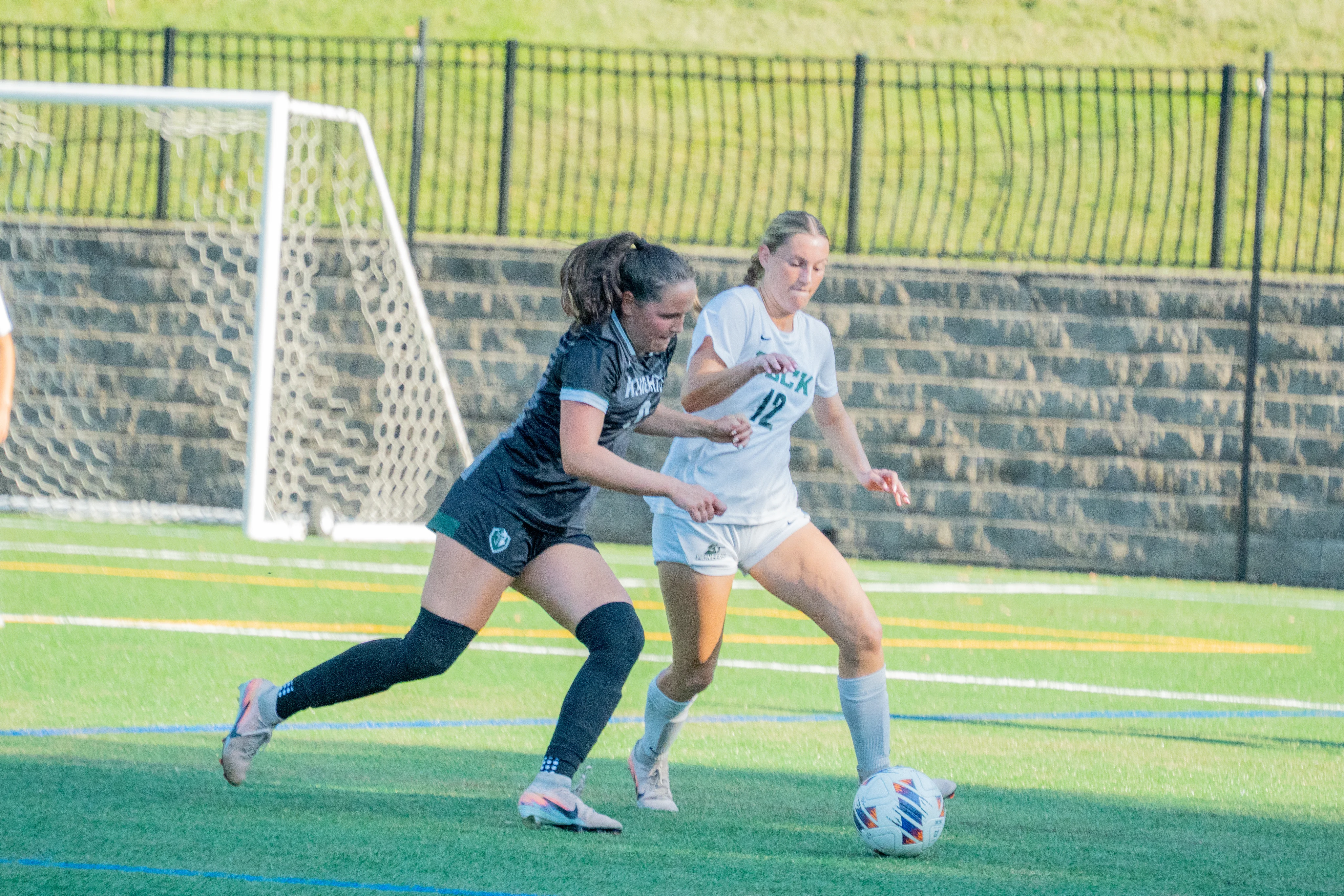 Two soccer players competing for the ball near the goal