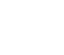 Allegheny logo white