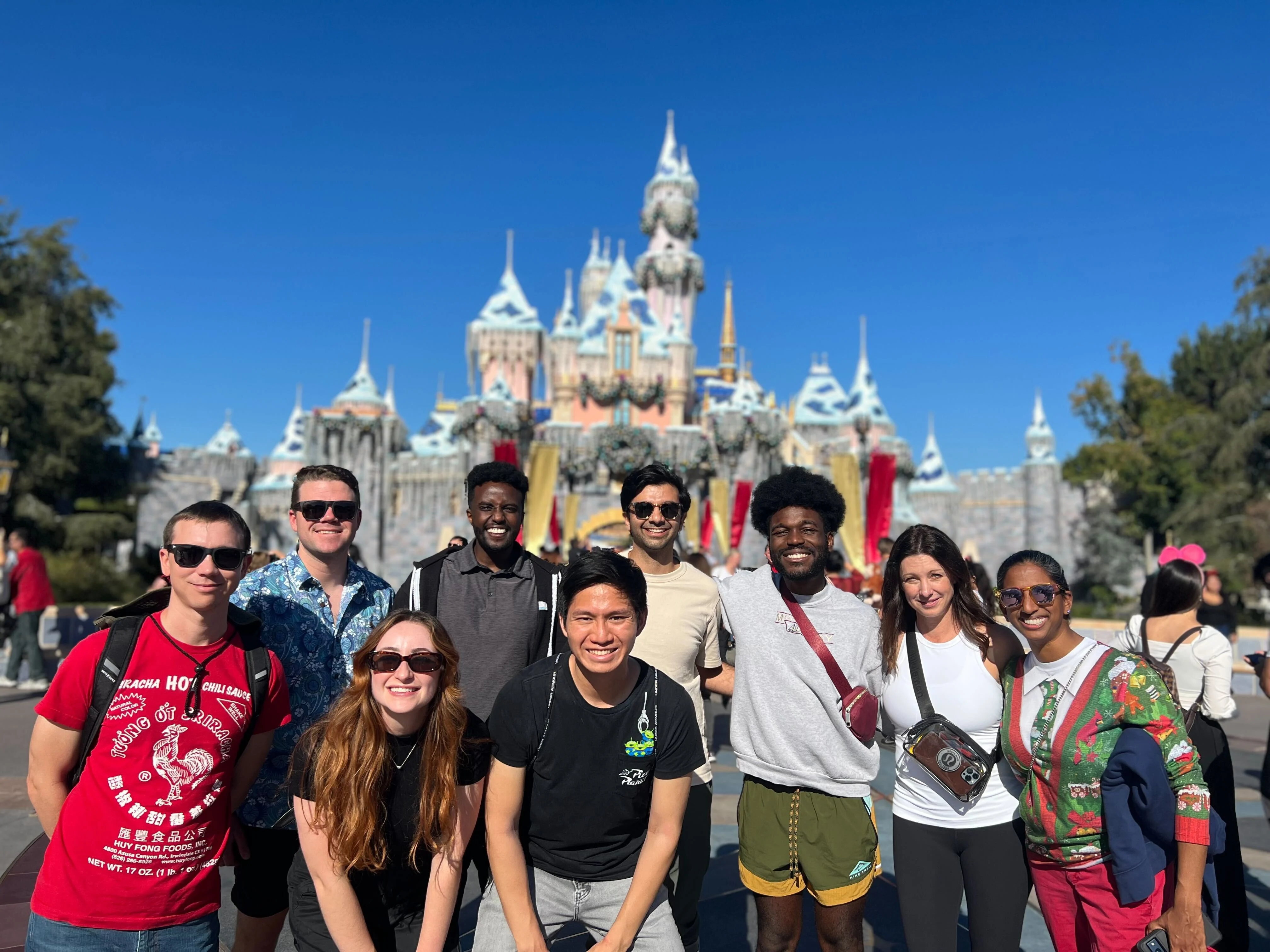 Medcrypt team gathered in front of Disneyland Castle