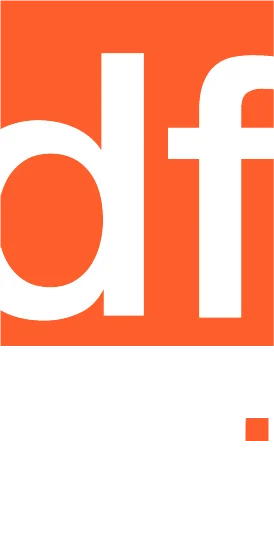 Digital Future original logo