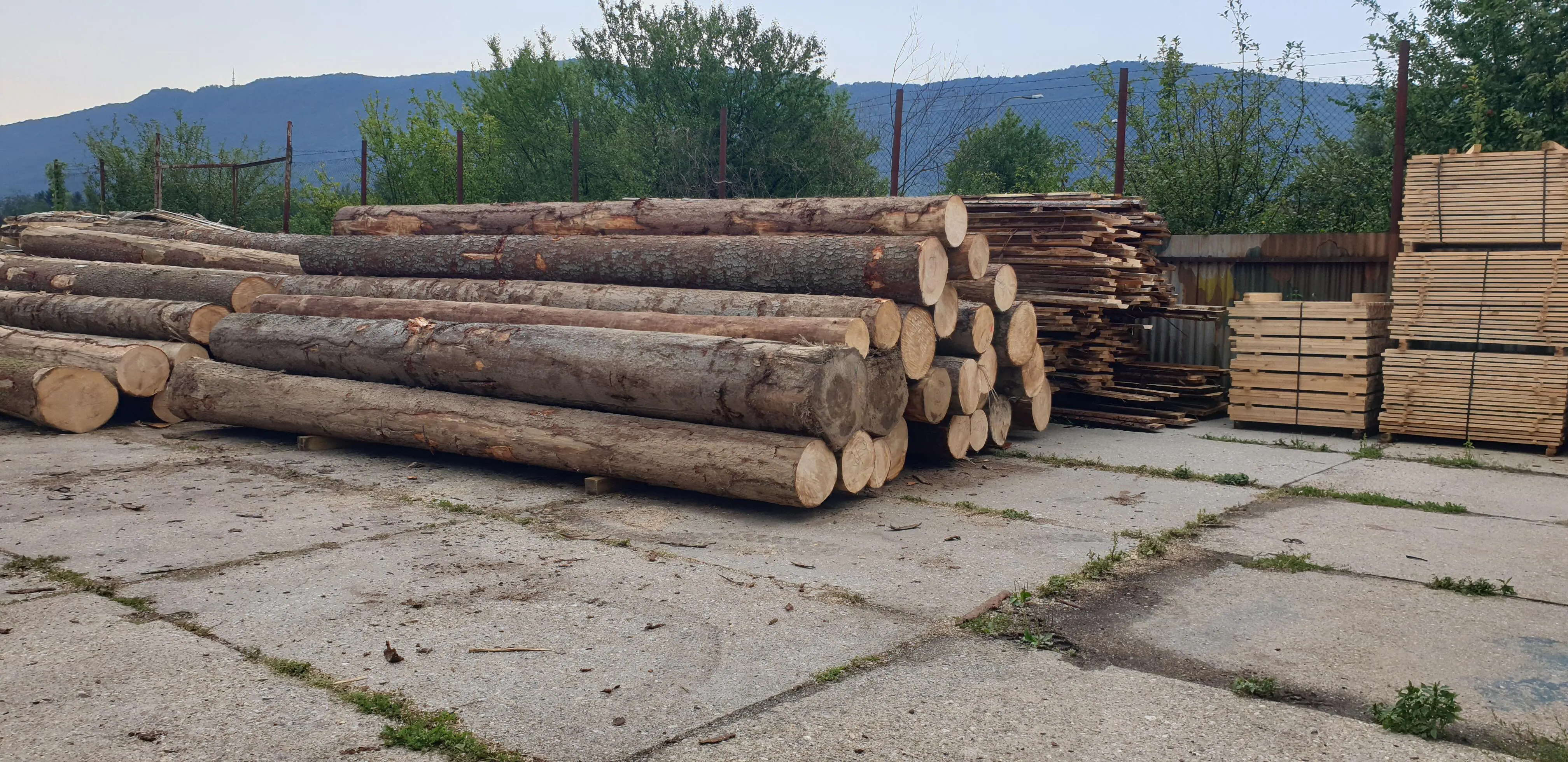 Guľatina a hotové rezivo v areáli Copperwood