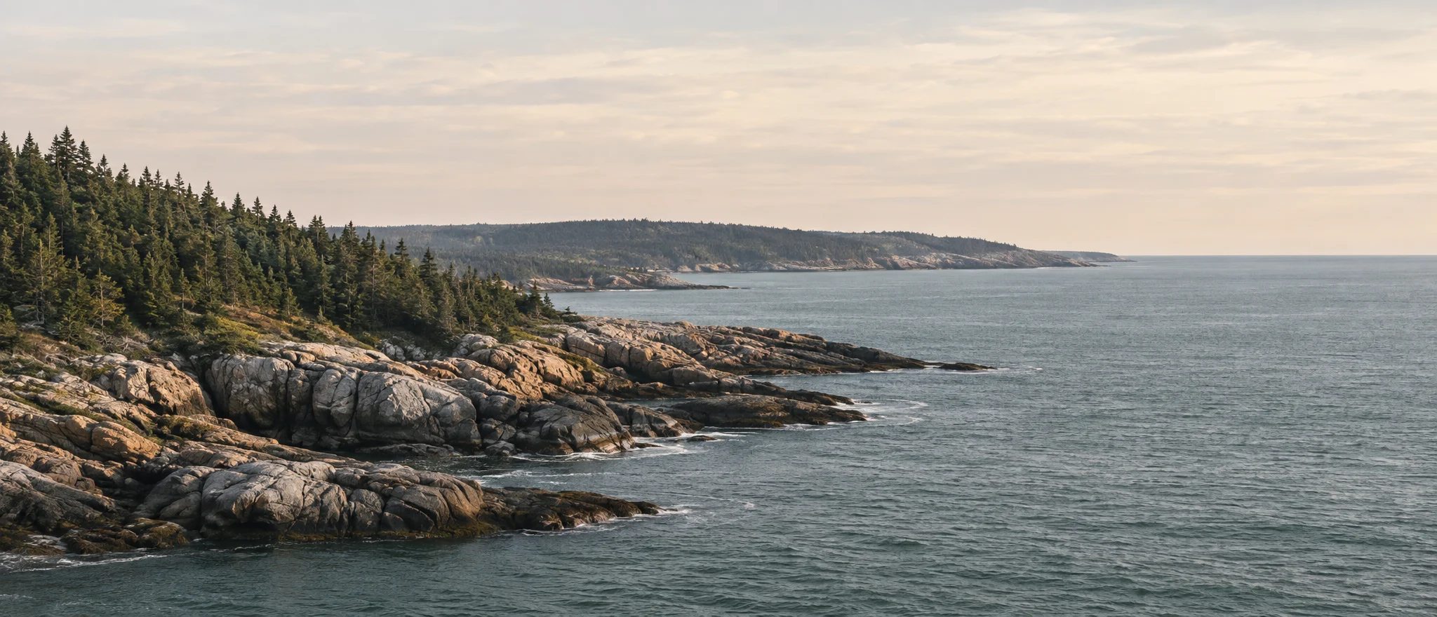A rocky Atlantic headland edged with evergreen forest