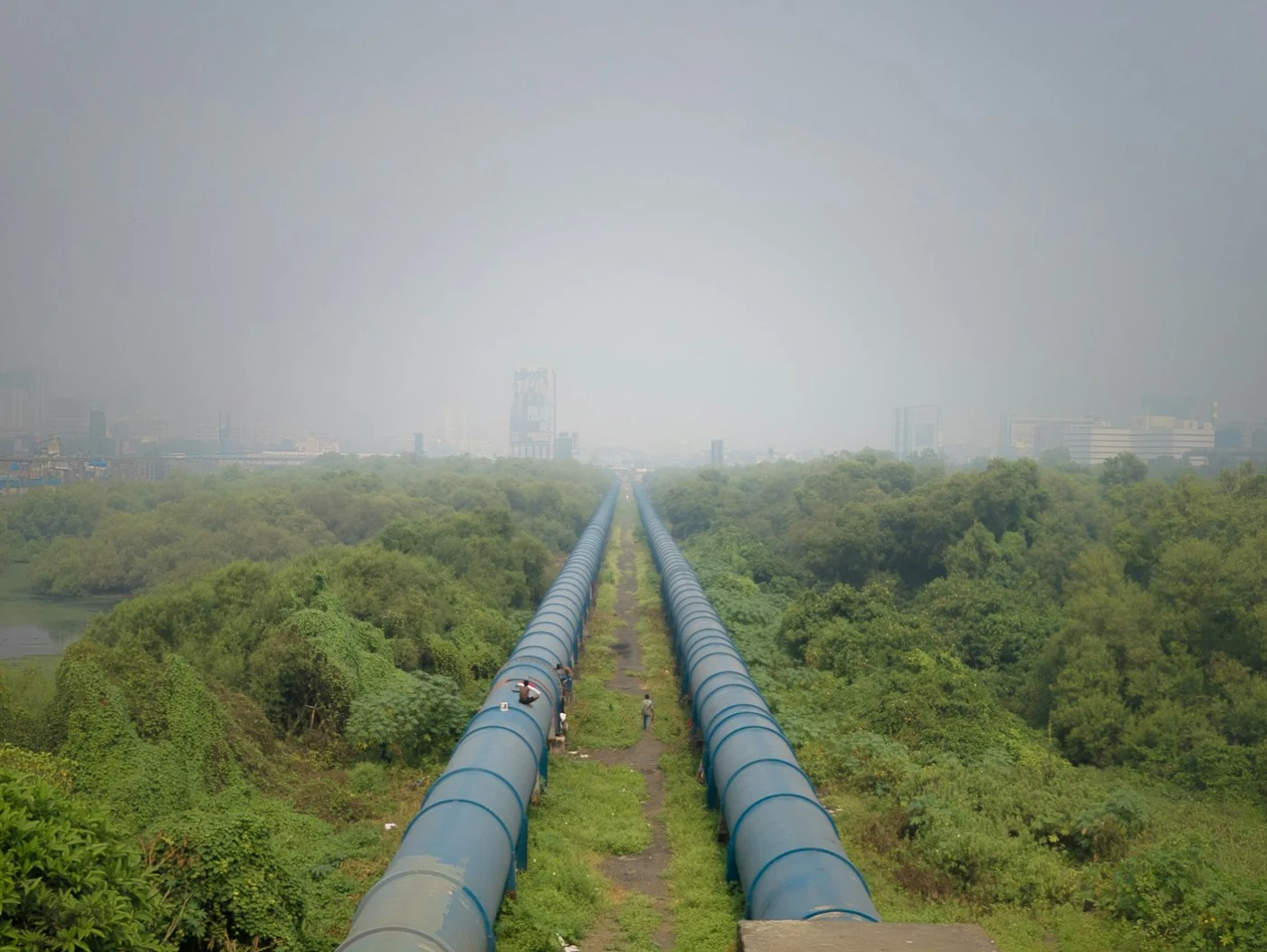 Twin pipelines running straight into the distance through green countryside