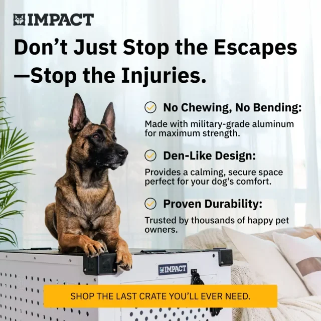 Impact Dog Crates ad