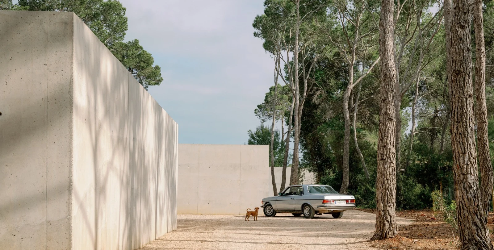Pine trees cast shadows across the concrete approach to Can Fibonacci