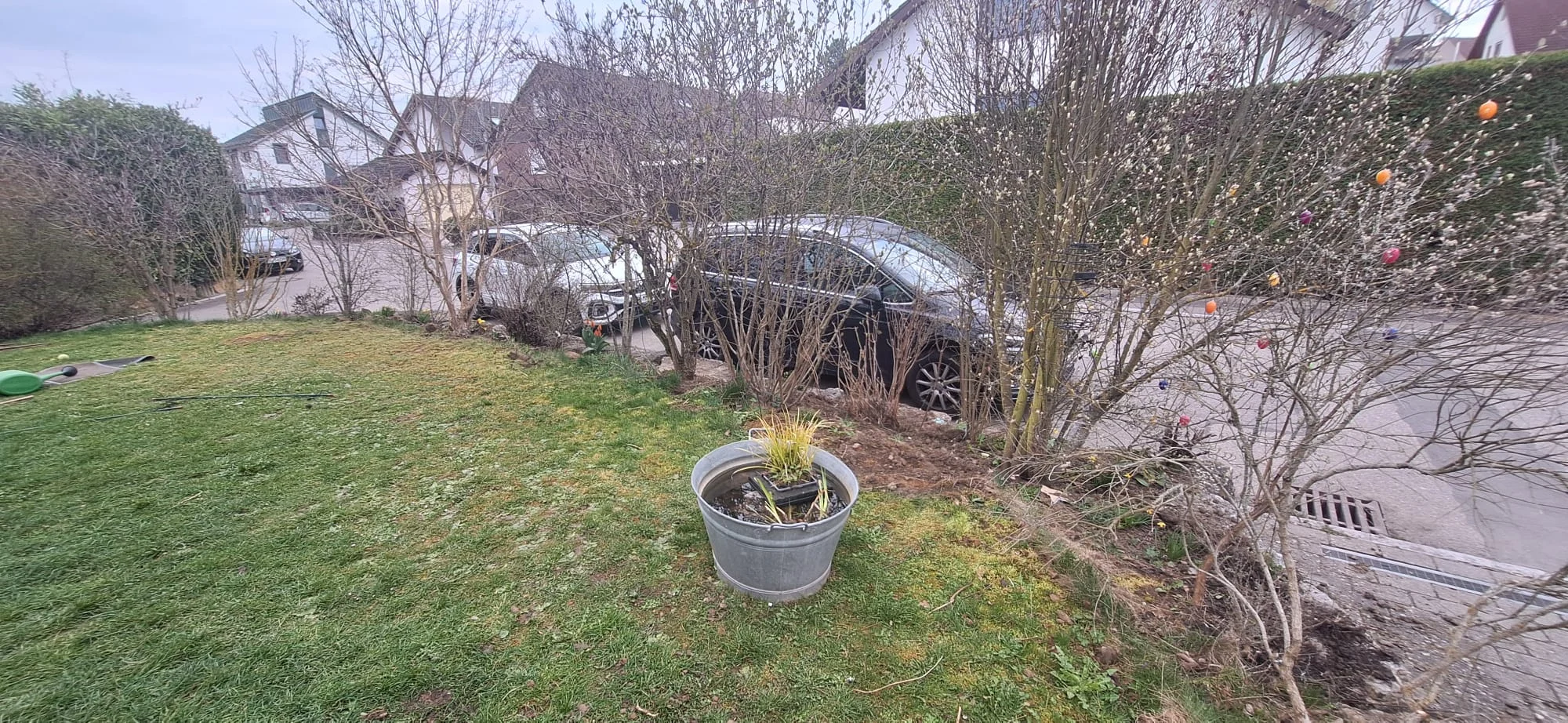 Vorher: Gartenneugestaltung mit Feinsteinzeug-Terrasse, Rollrasen und Sichtschutz in Weil im Schönbuch