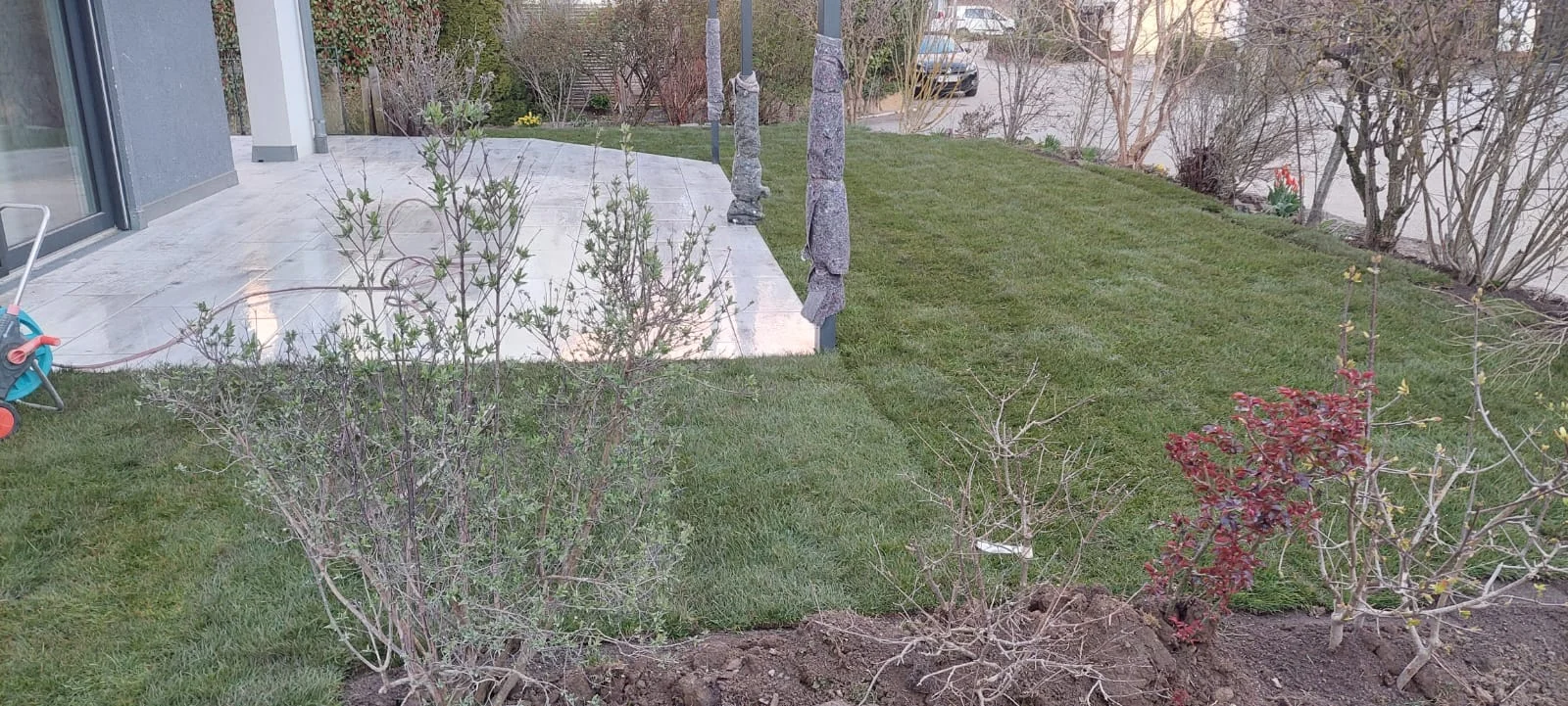 Nachher: Gartenneugestaltung mit Feinsteinzeug-Terrasse, Rollrasen und Sichtschutz in Weil im Schönbuch
