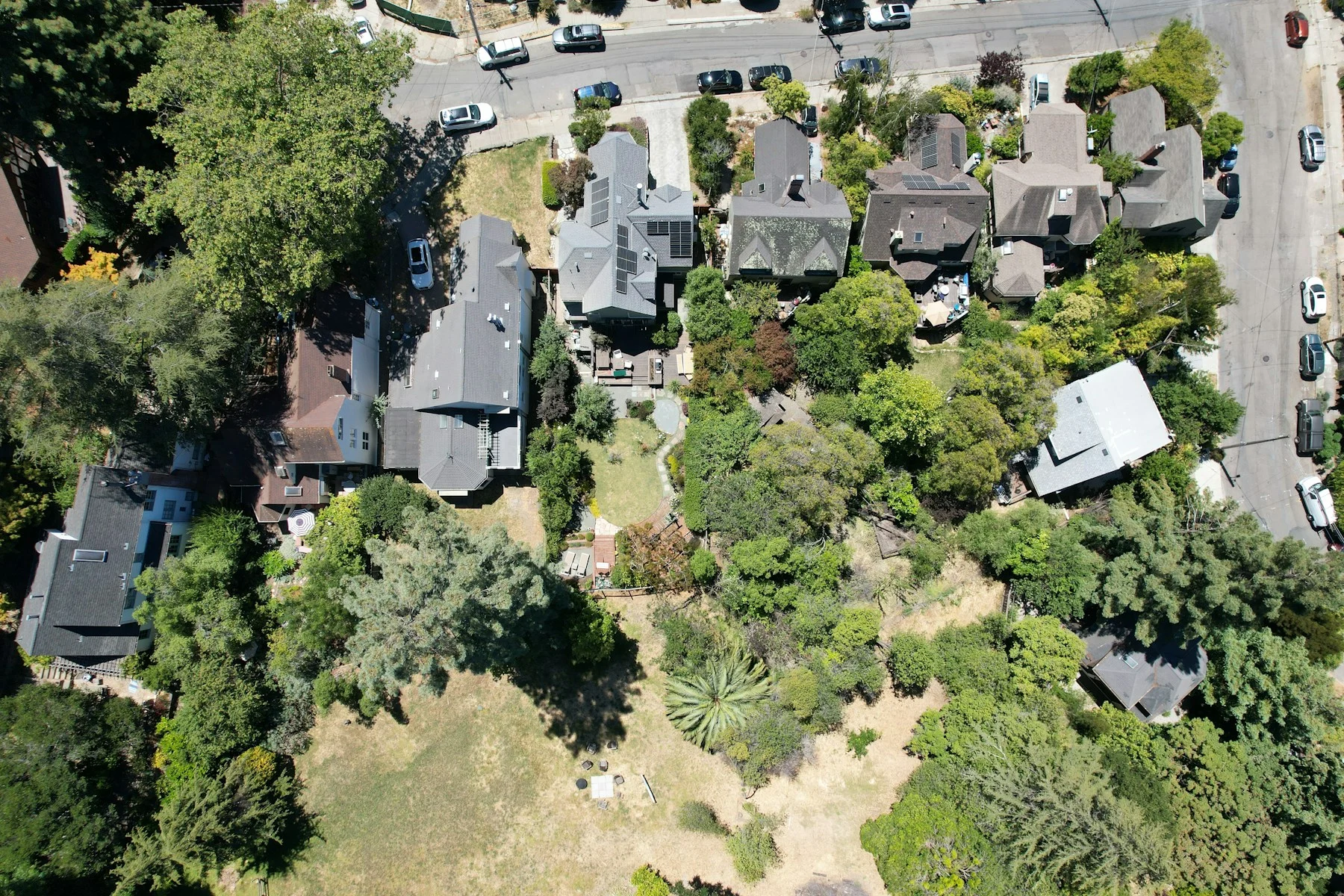 Aerial view of a tree-lined Los Angeles residential neighborhood
