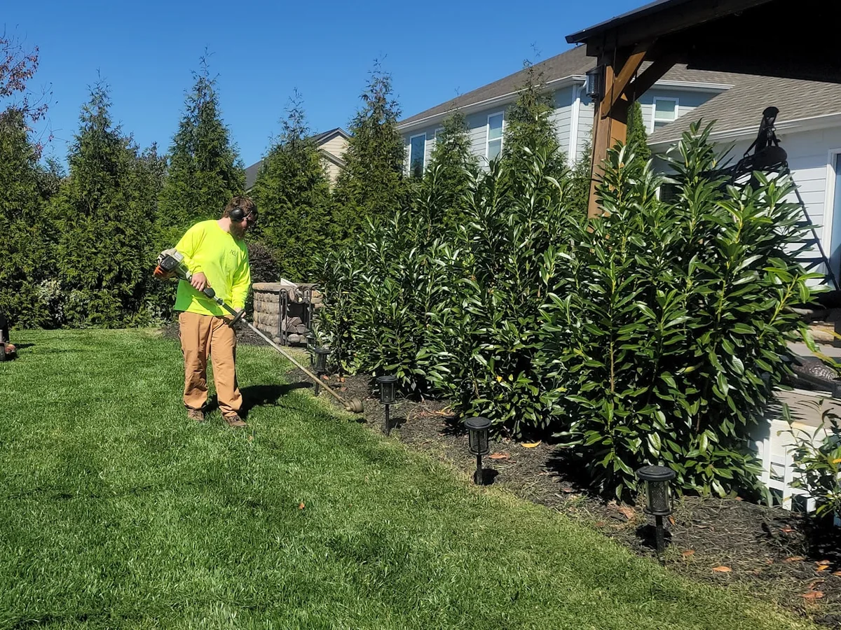 Landscaper maintaining a residential lawn and planting bed