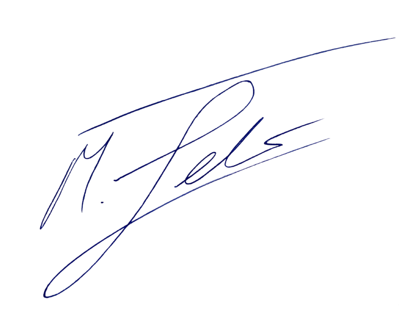 Marco Fehr signature