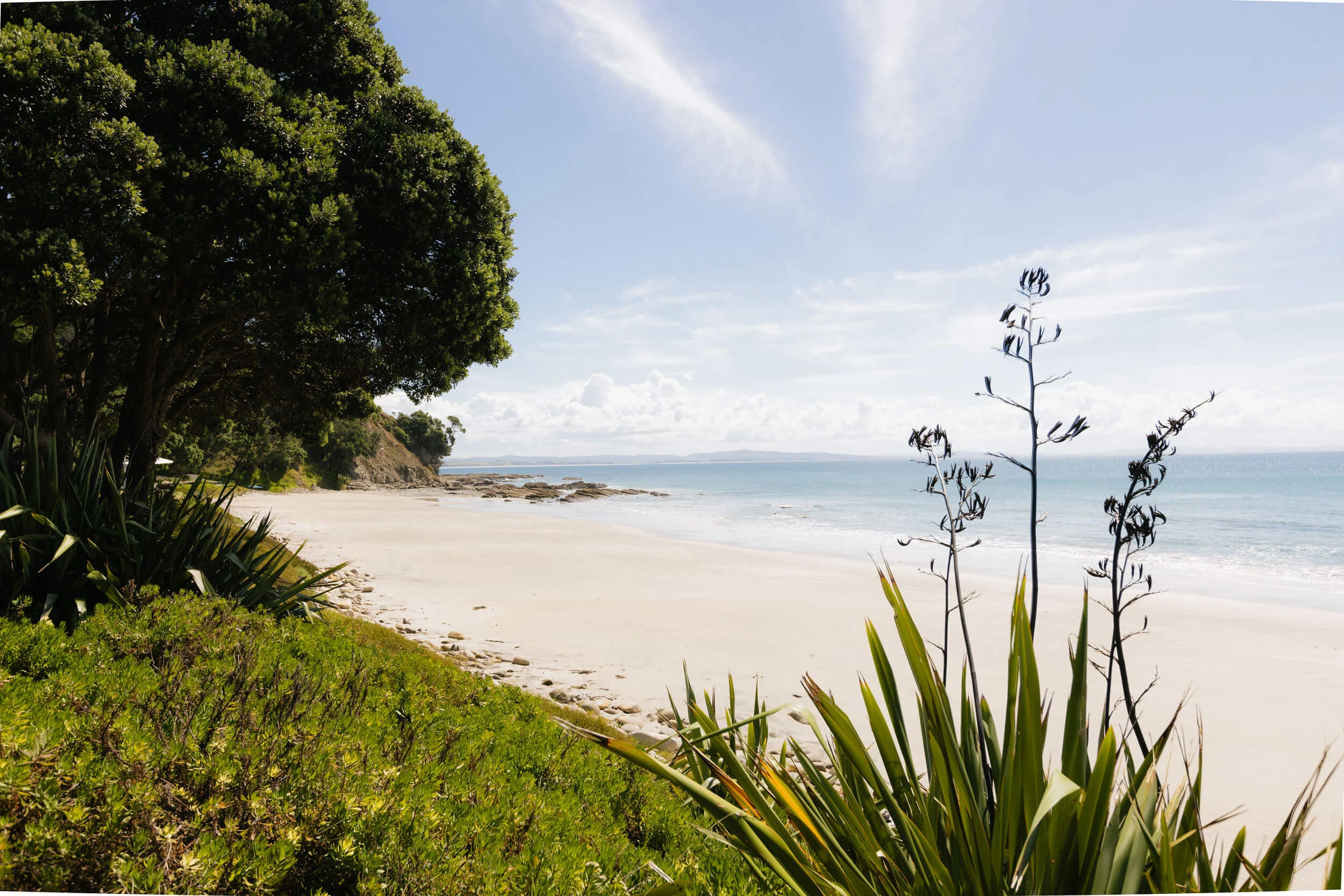 White sand beach at Andersons Cove