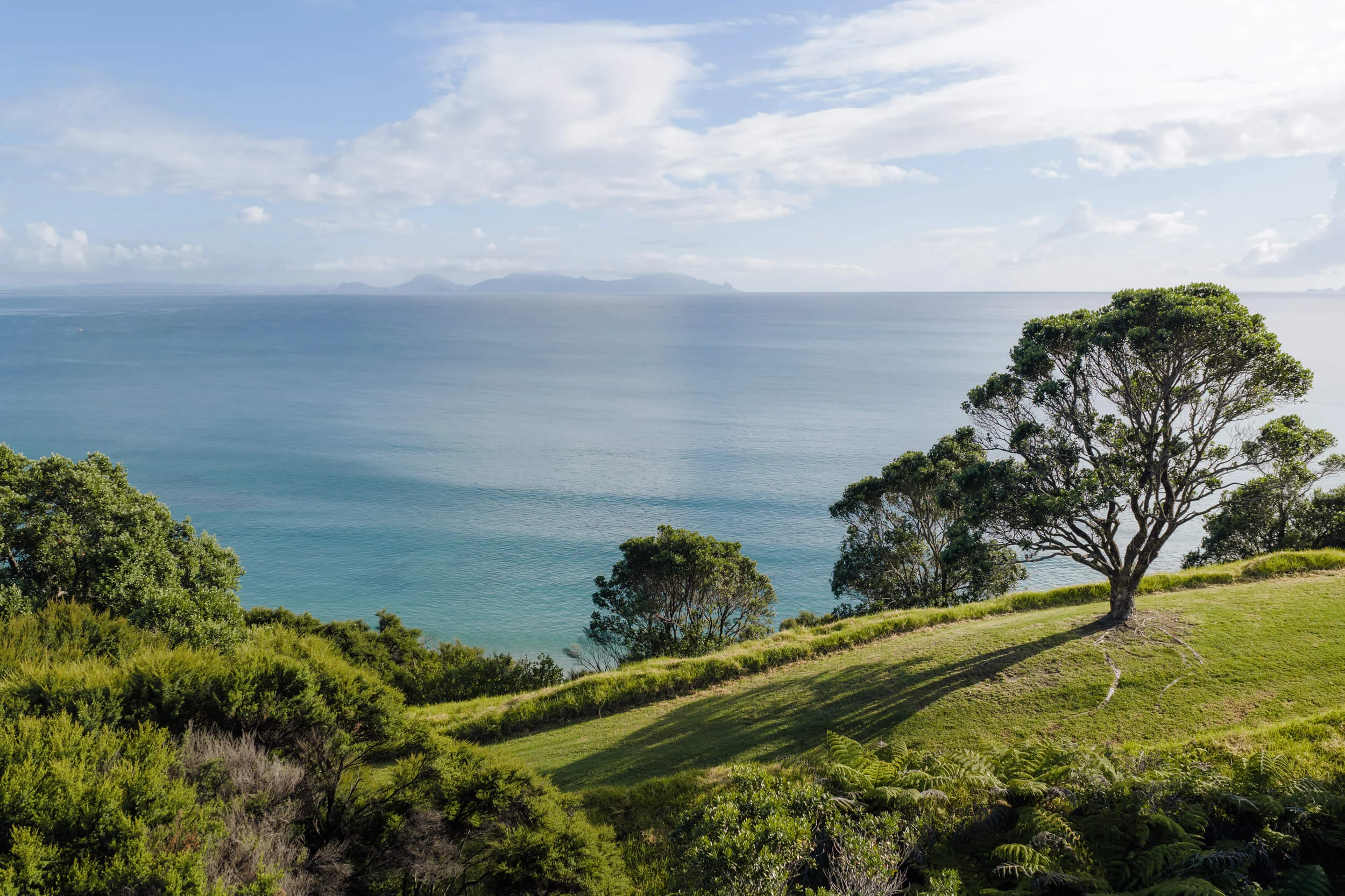Andersons Cove property photo 85 of 135