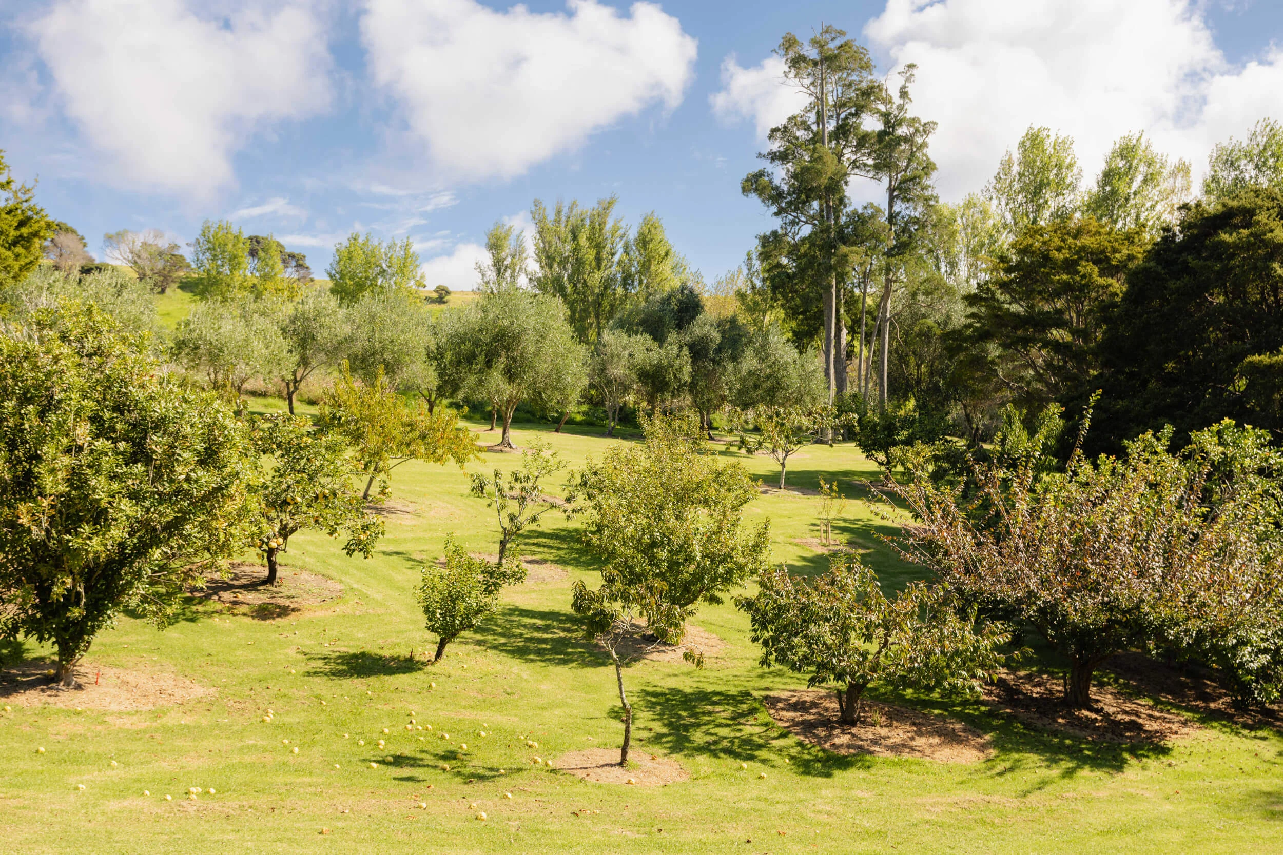 Andersons Cove property photo 75 of 135
