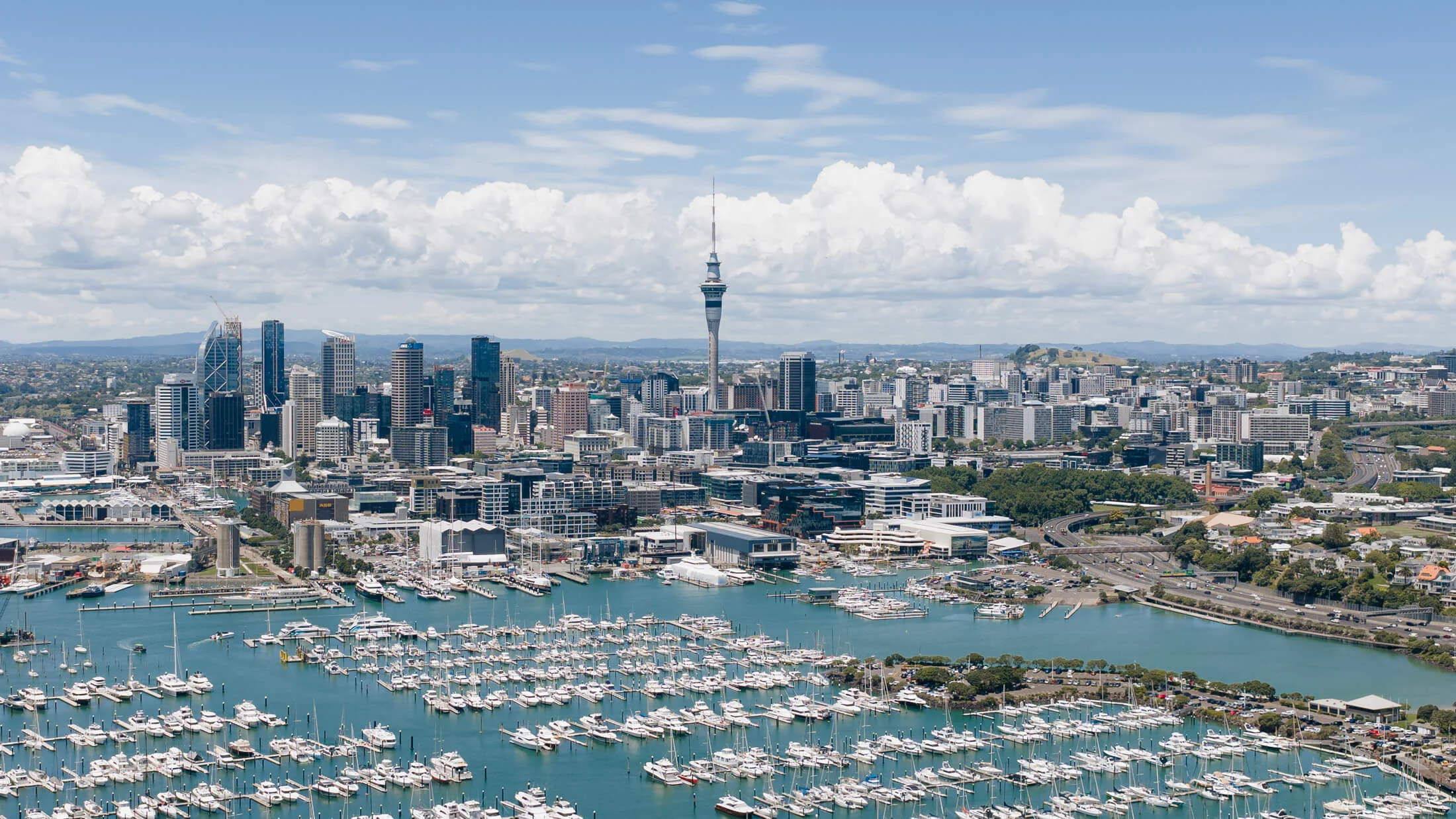 Aerial view of Auckland CBD and the Sky Tower above the marina