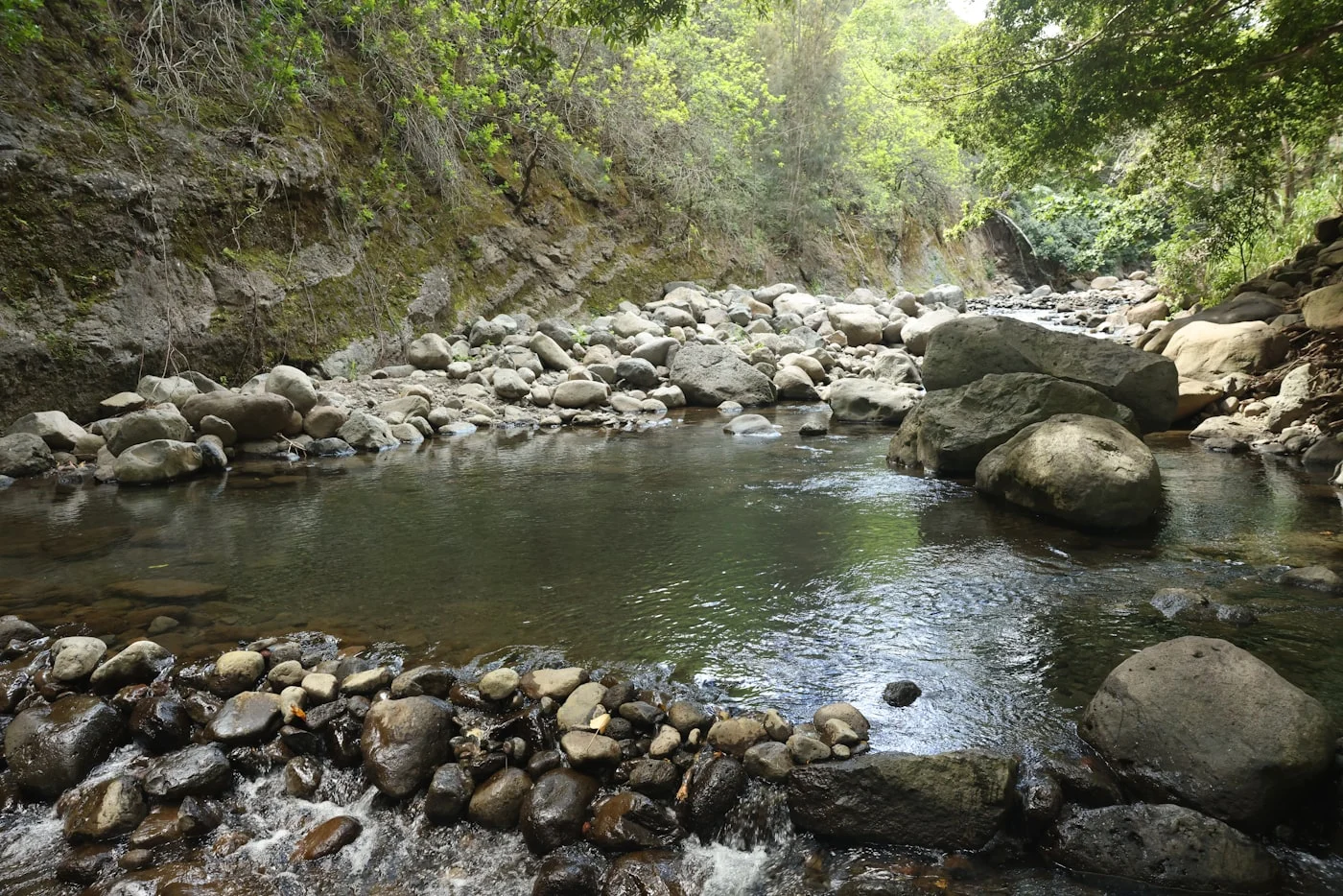 A shaded stream and rocky pool on Maui